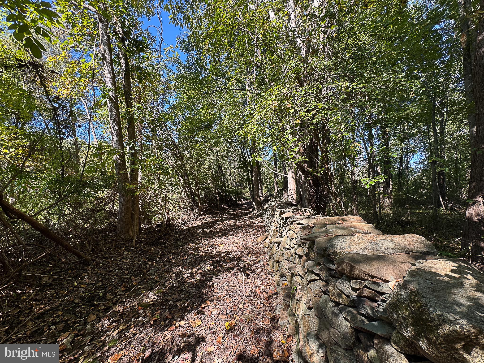 BIRCH HOLLOW HAMLET - Residential