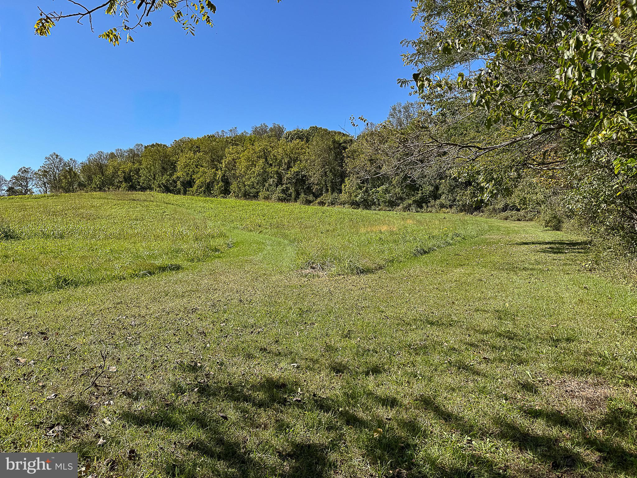 BIRCH HOLLOW HAMLET - Residential