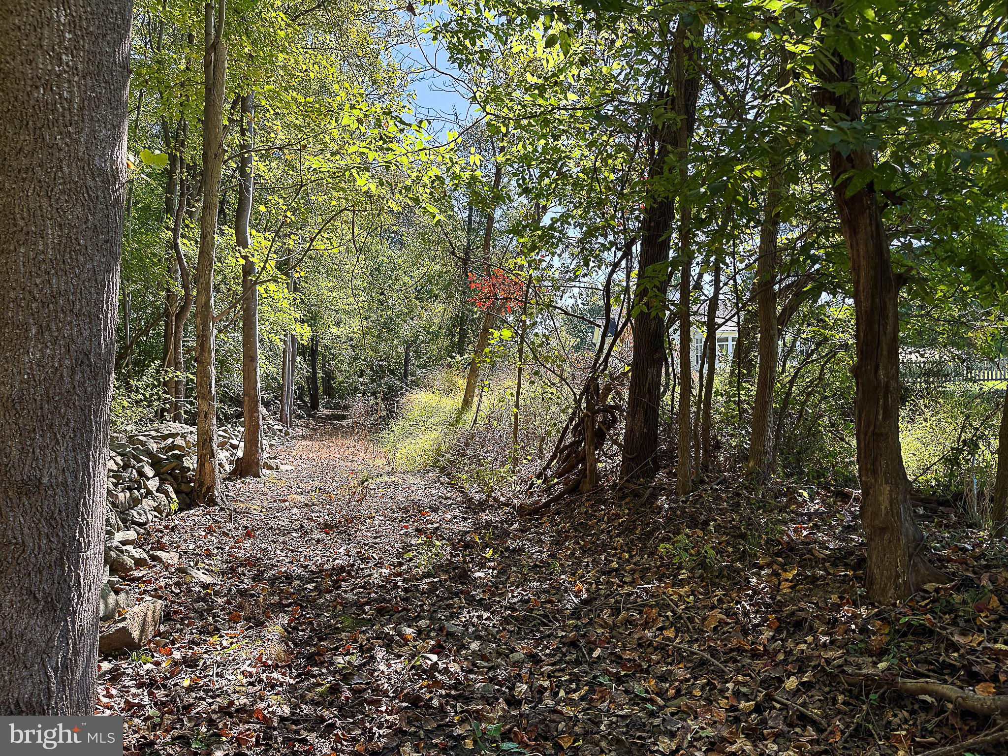 BIRCH HOLLOW HAMLET - Residential