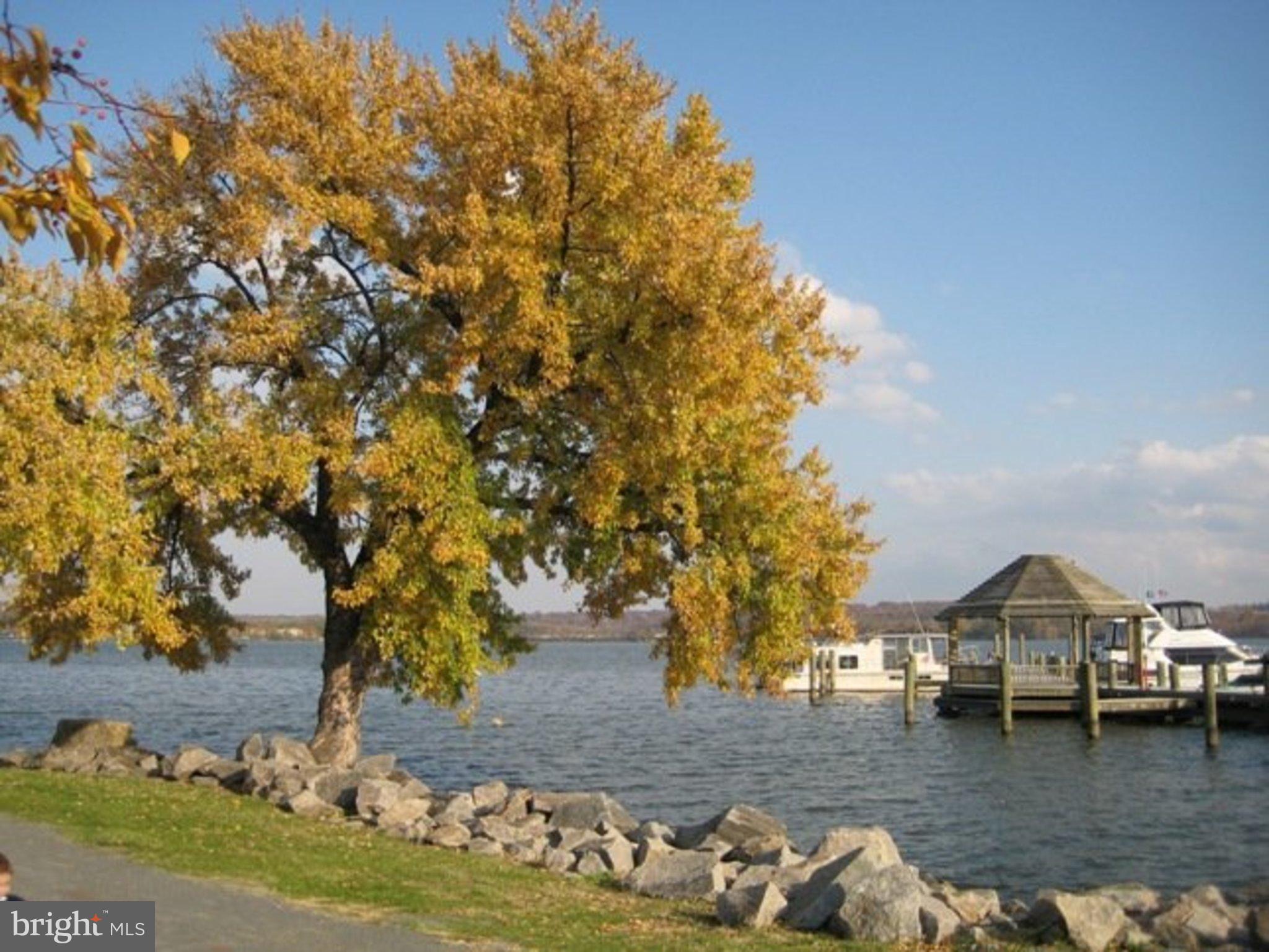 OLD TOWN NORTH - Residential Lease