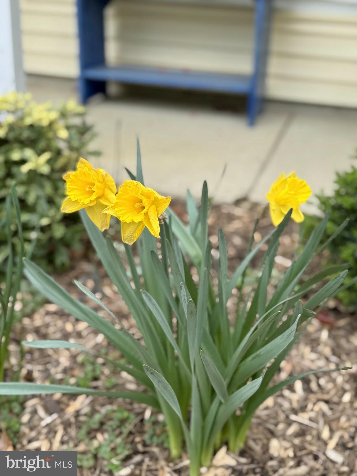 SUNDERLAND PARK - Residential