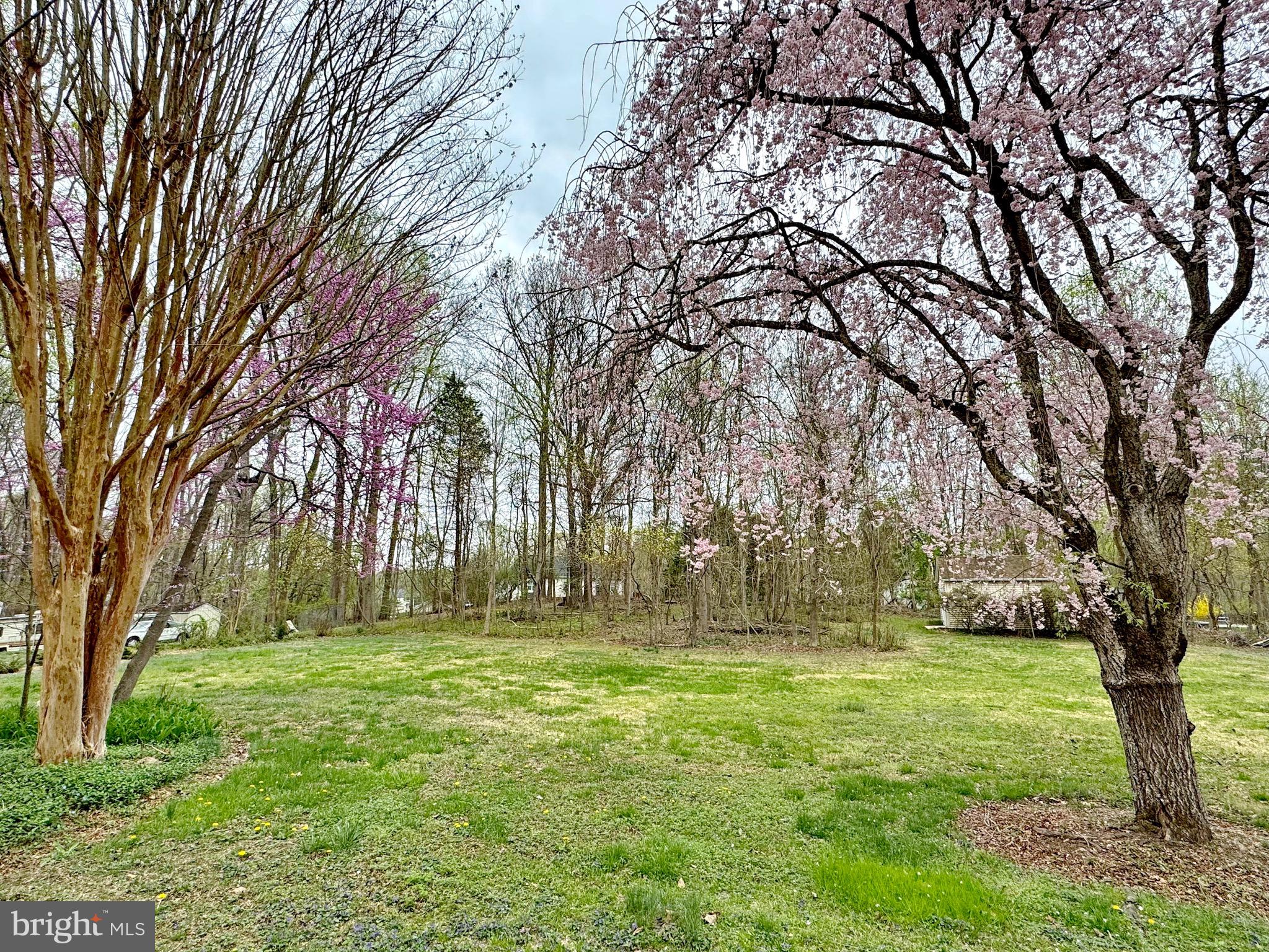 SUNDERLAND PARK - Residential