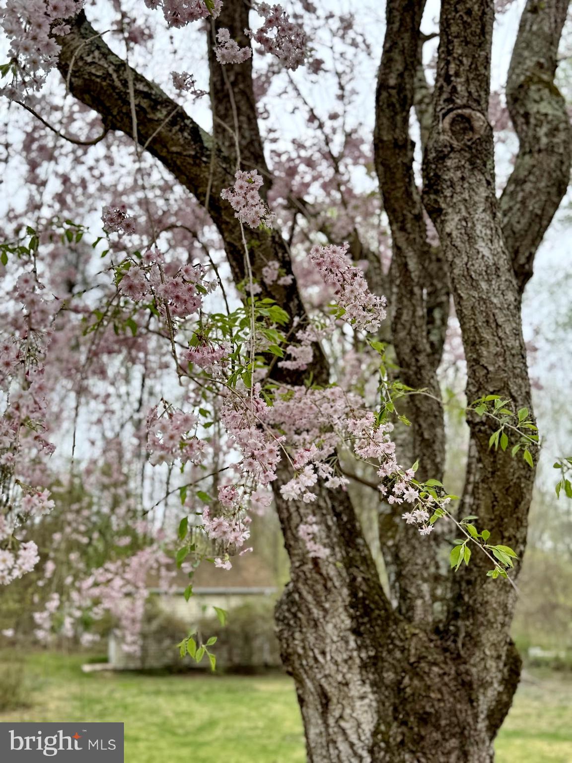 SUNDERLAND PARK - Residential