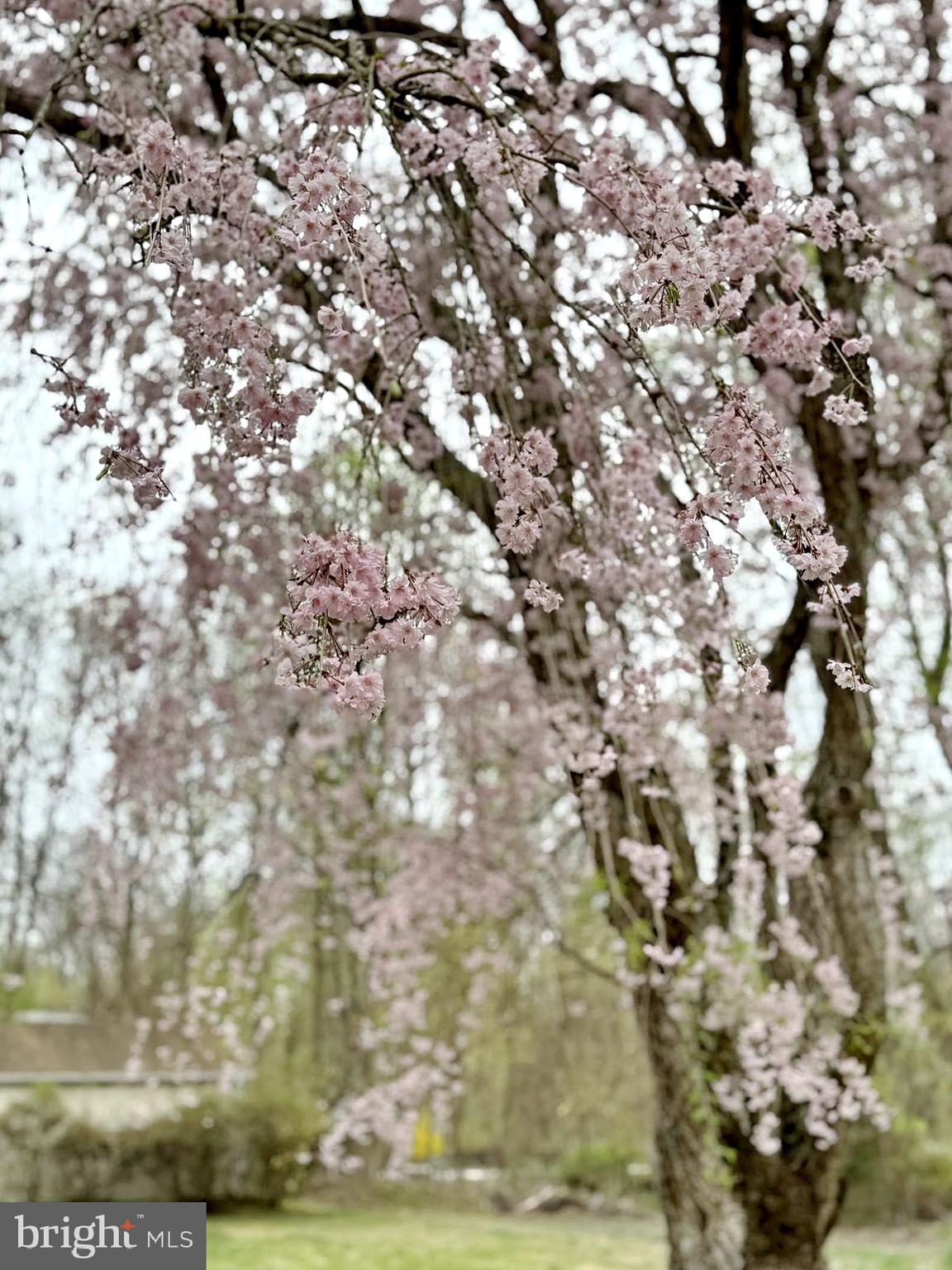 SUNDERLAND PARK - Residential