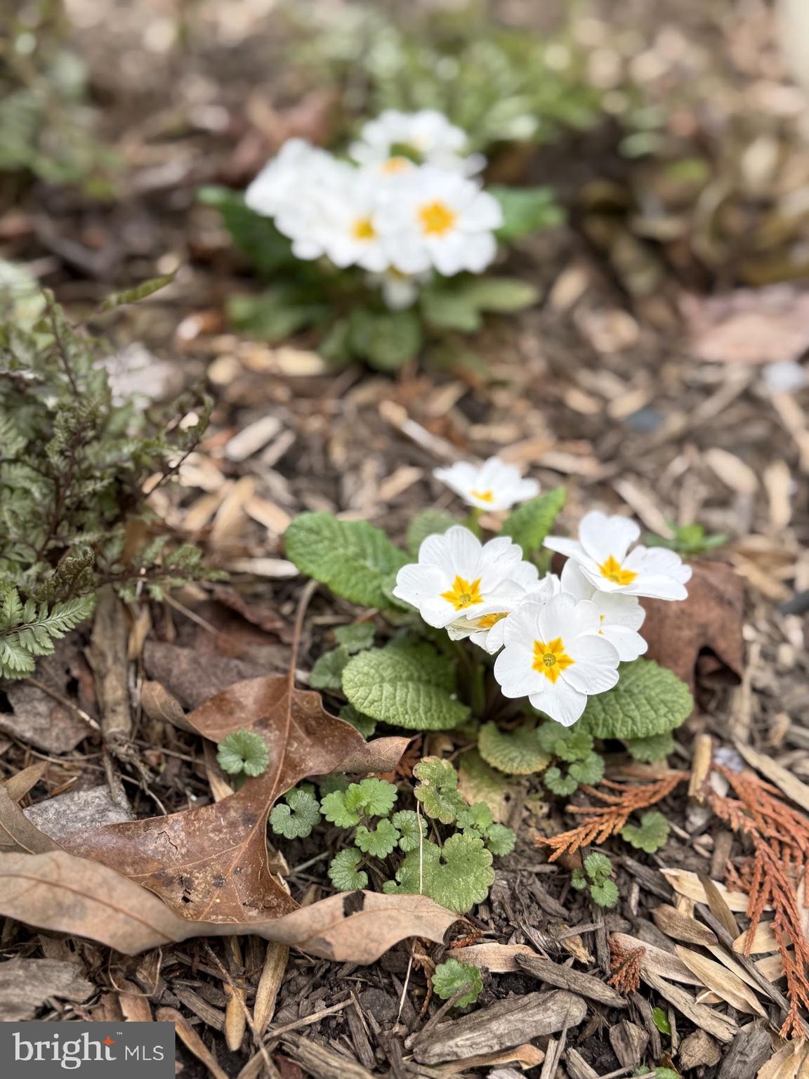 SUNDERLAND PARK - Residential