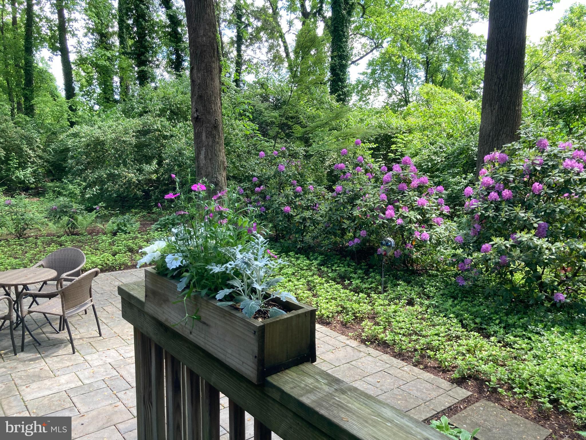 STRATTON COMMONS - Residential