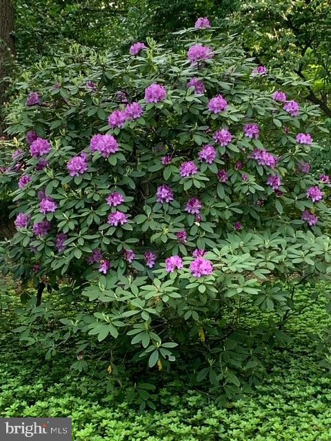 STRATTON COMMONS - Residential