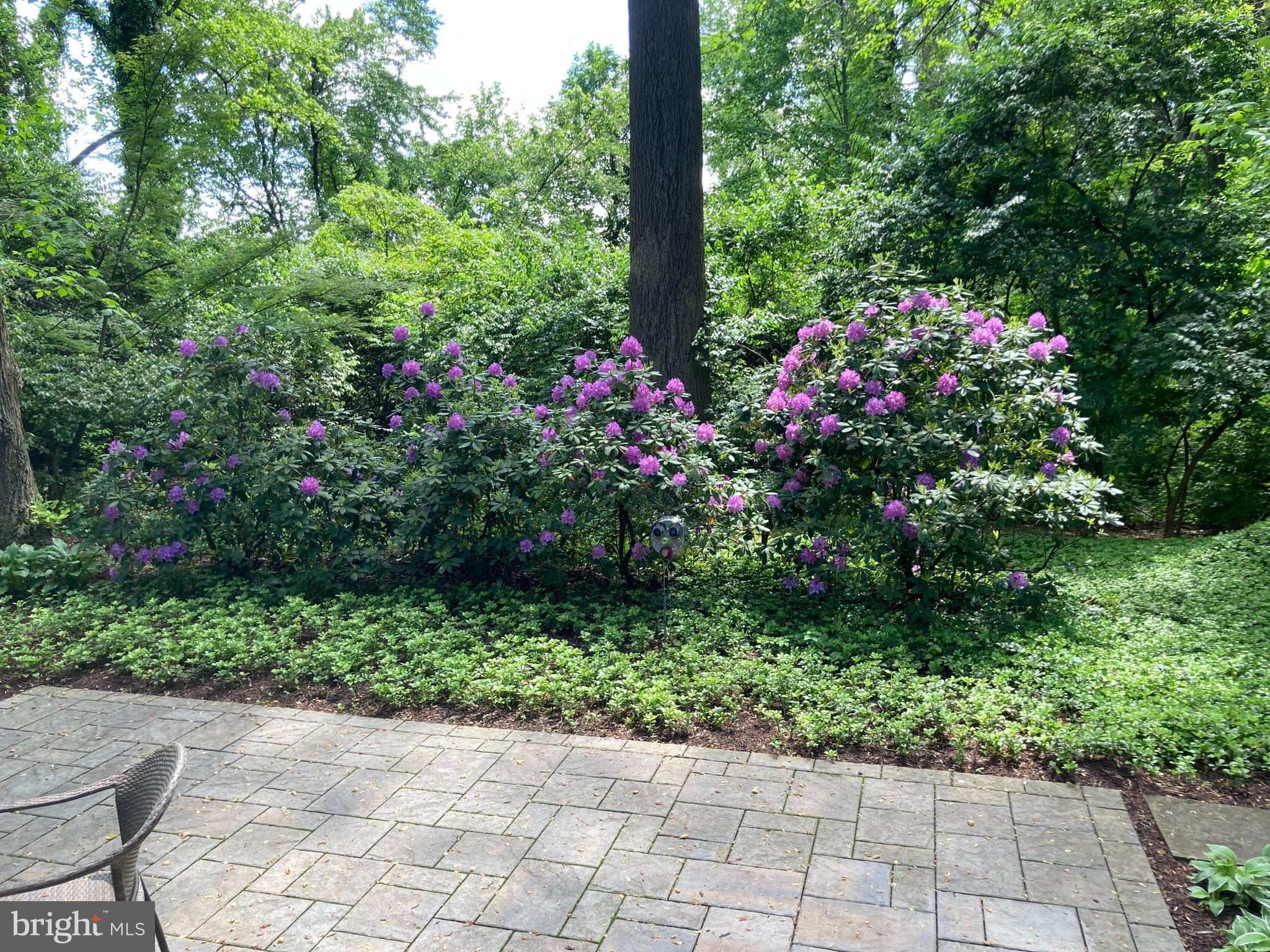 STRATTON COMMONS - Residential