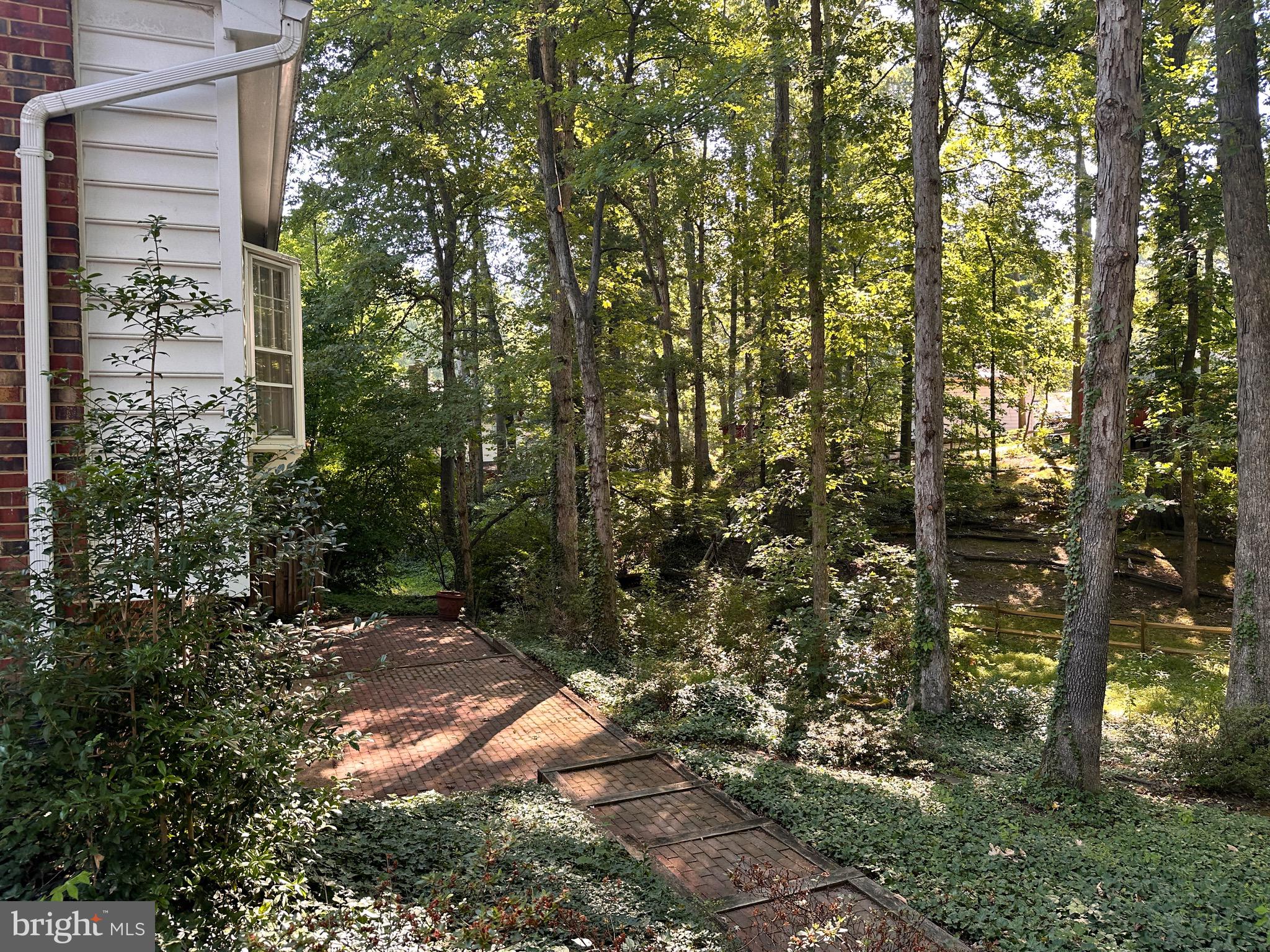 CARDINAL FOREST - Residential Lease