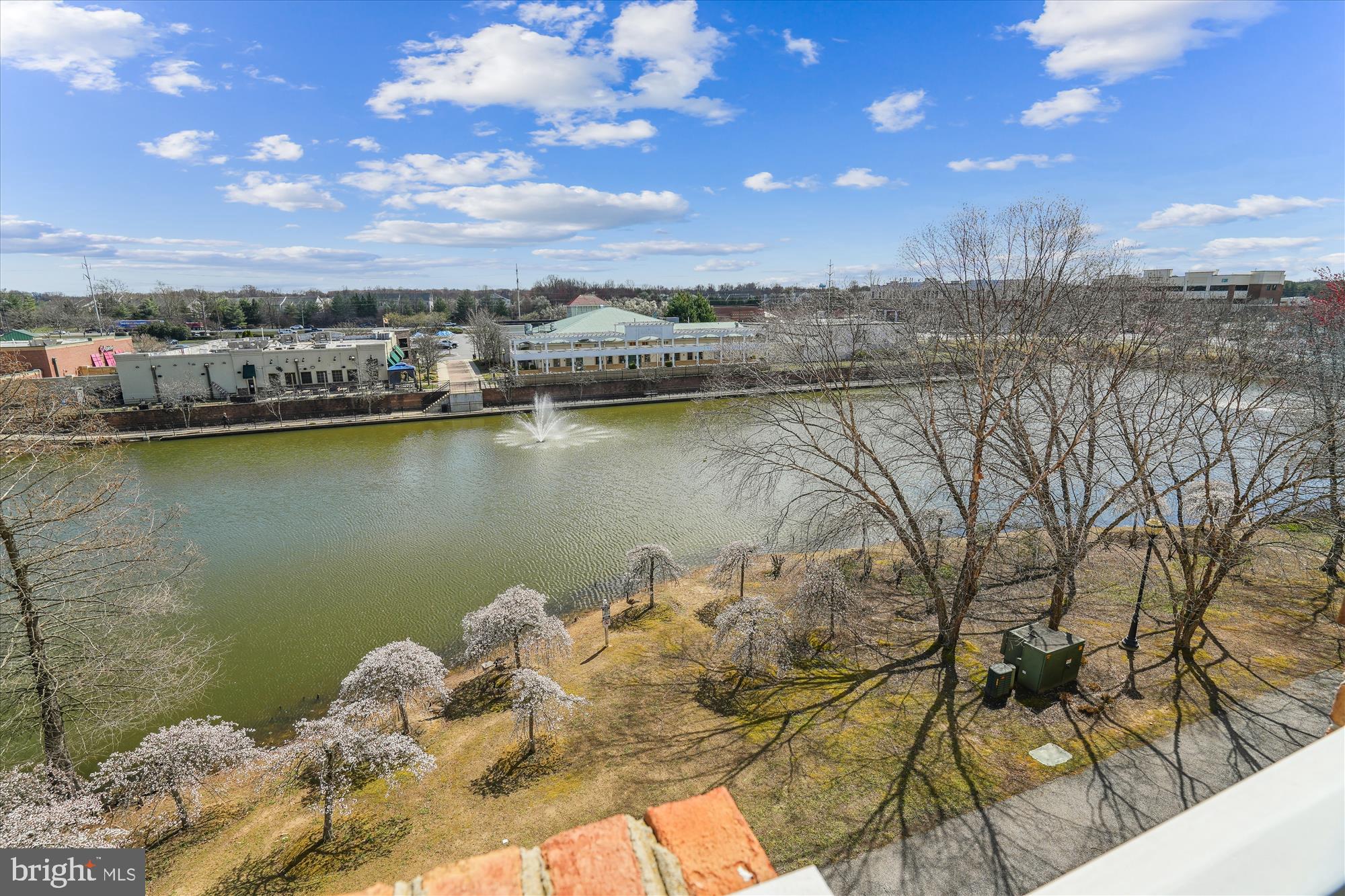 THE VILLAGE AT WAUGH CHAPEL - Residential