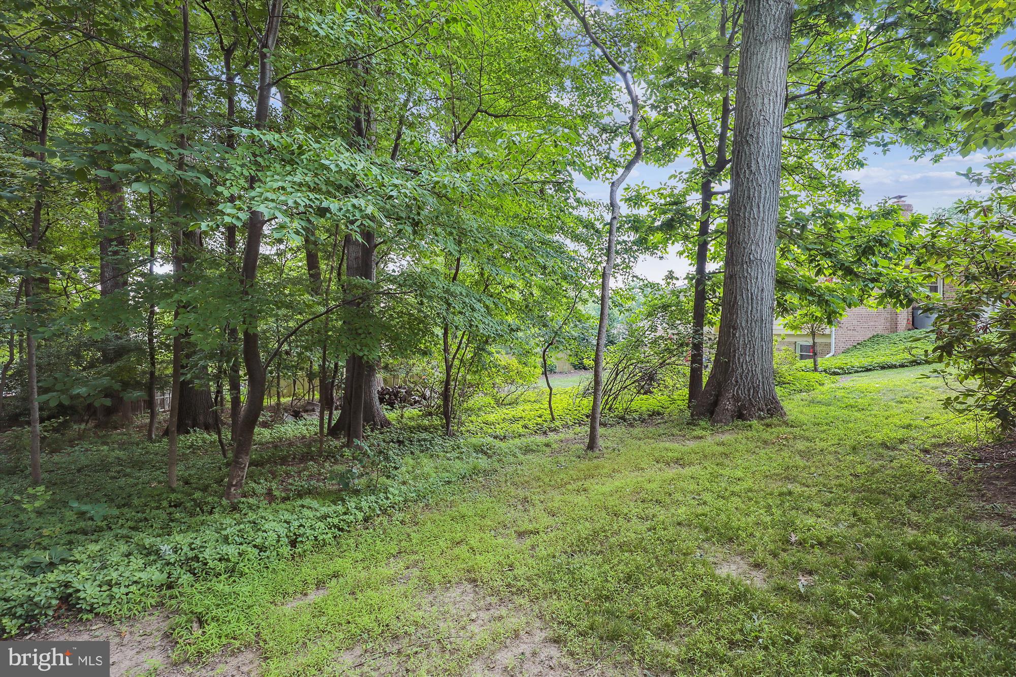 POTOMAC WOODS - Residential Lease