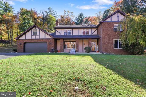 165 CHAIN SAW ROAD DILLSBURG PA 17019