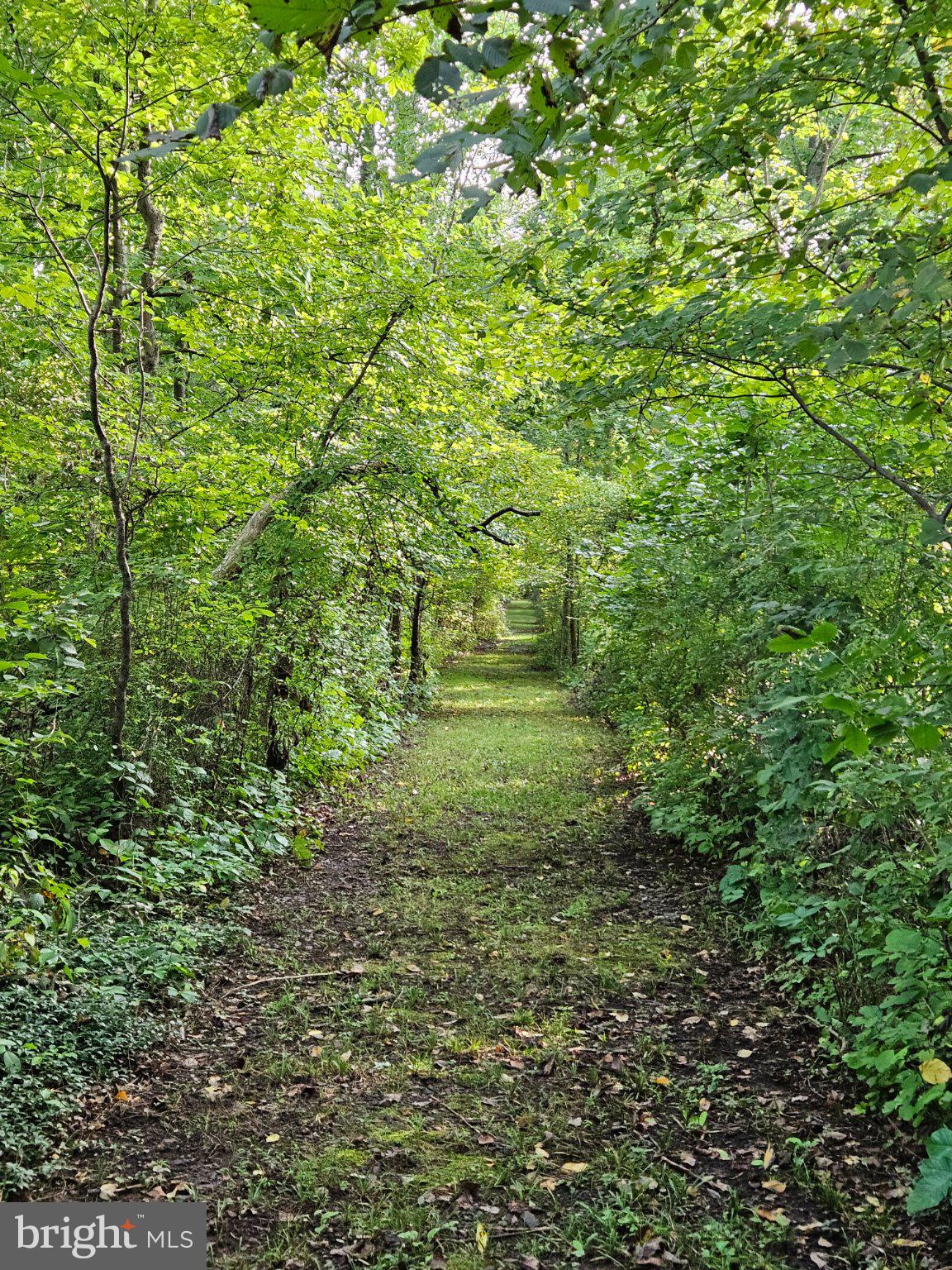 916 THOUSAND ACRE ROAD