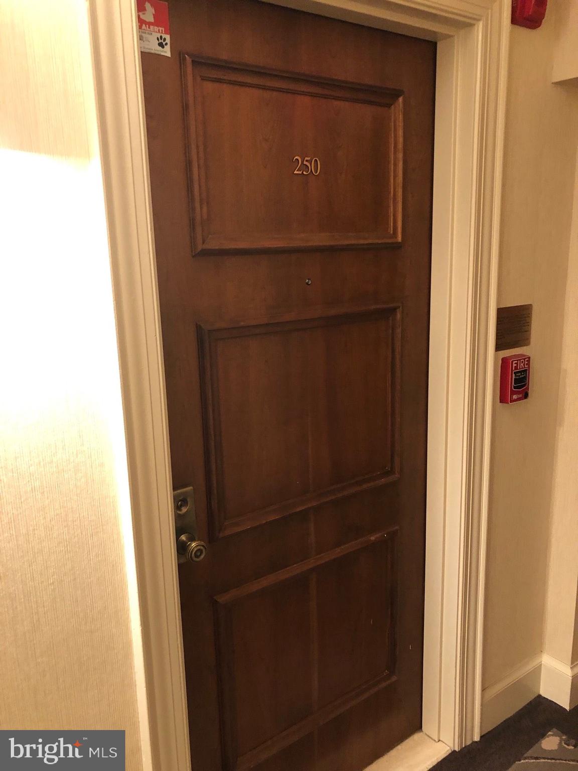 3101 NEW MEXICO AVENUE NW 250