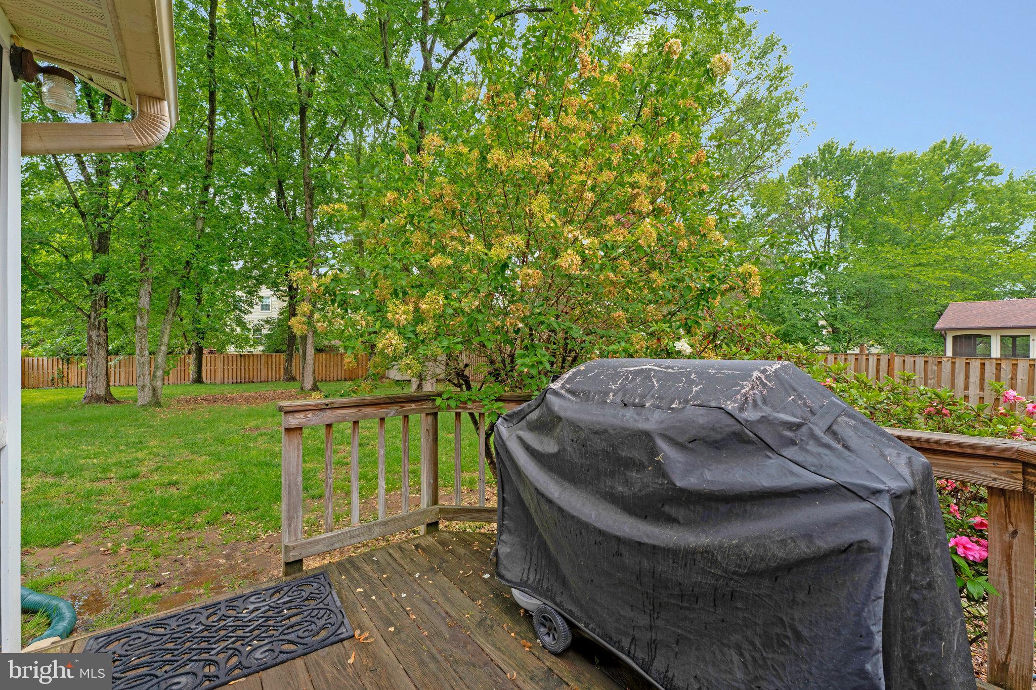 KINGSTON CHASE - Residential