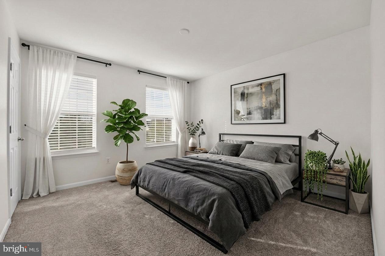 SHENANDOAH SPRINGS - Residential