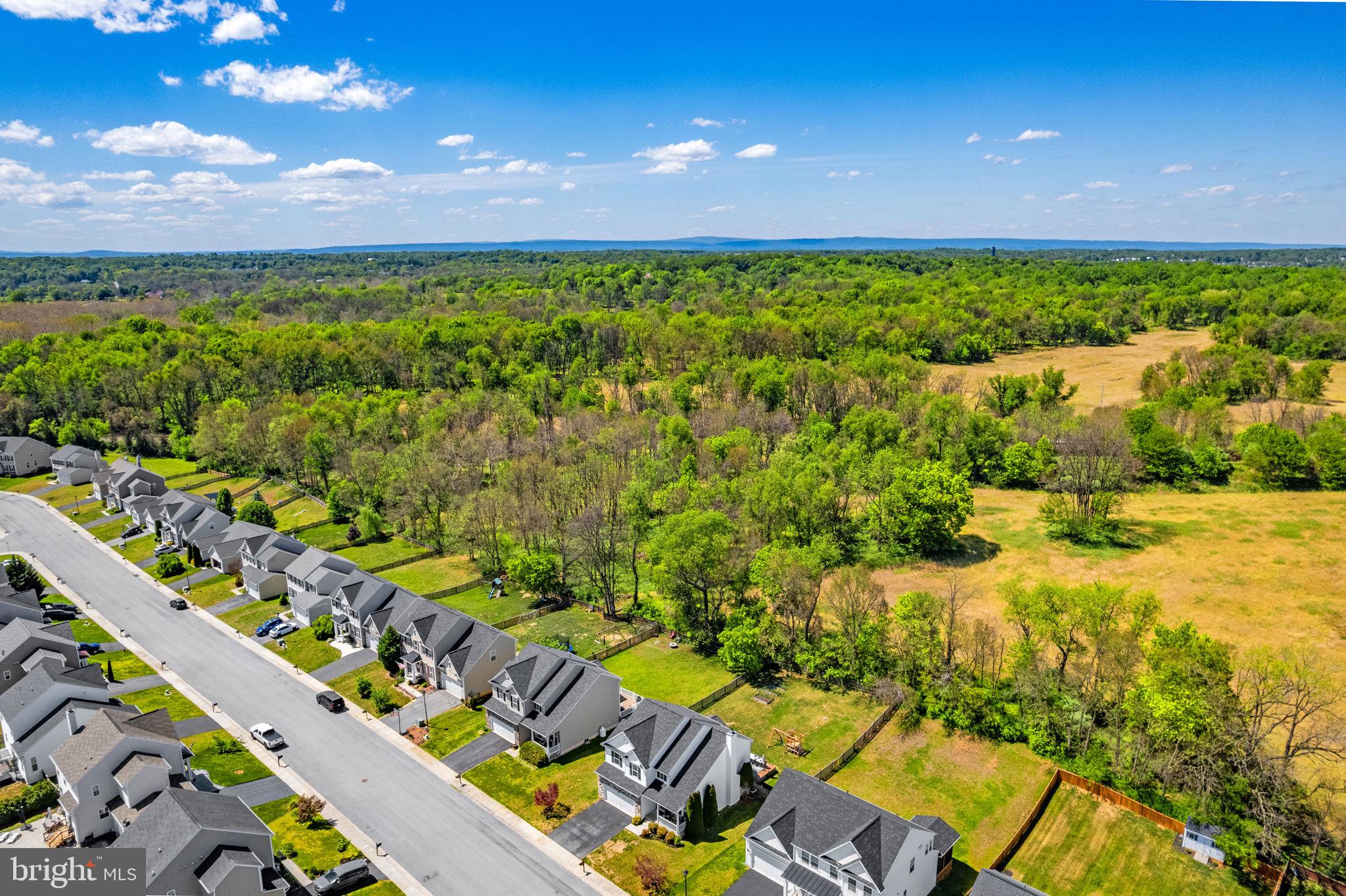 SPRUCE HILL NORTH - Residential