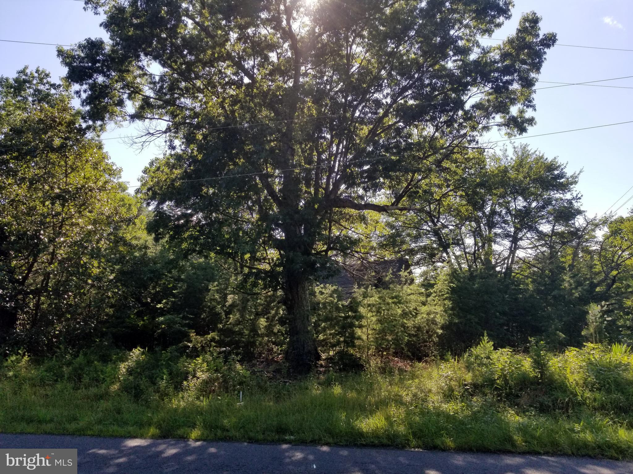 NONE AVAILABLE - Land