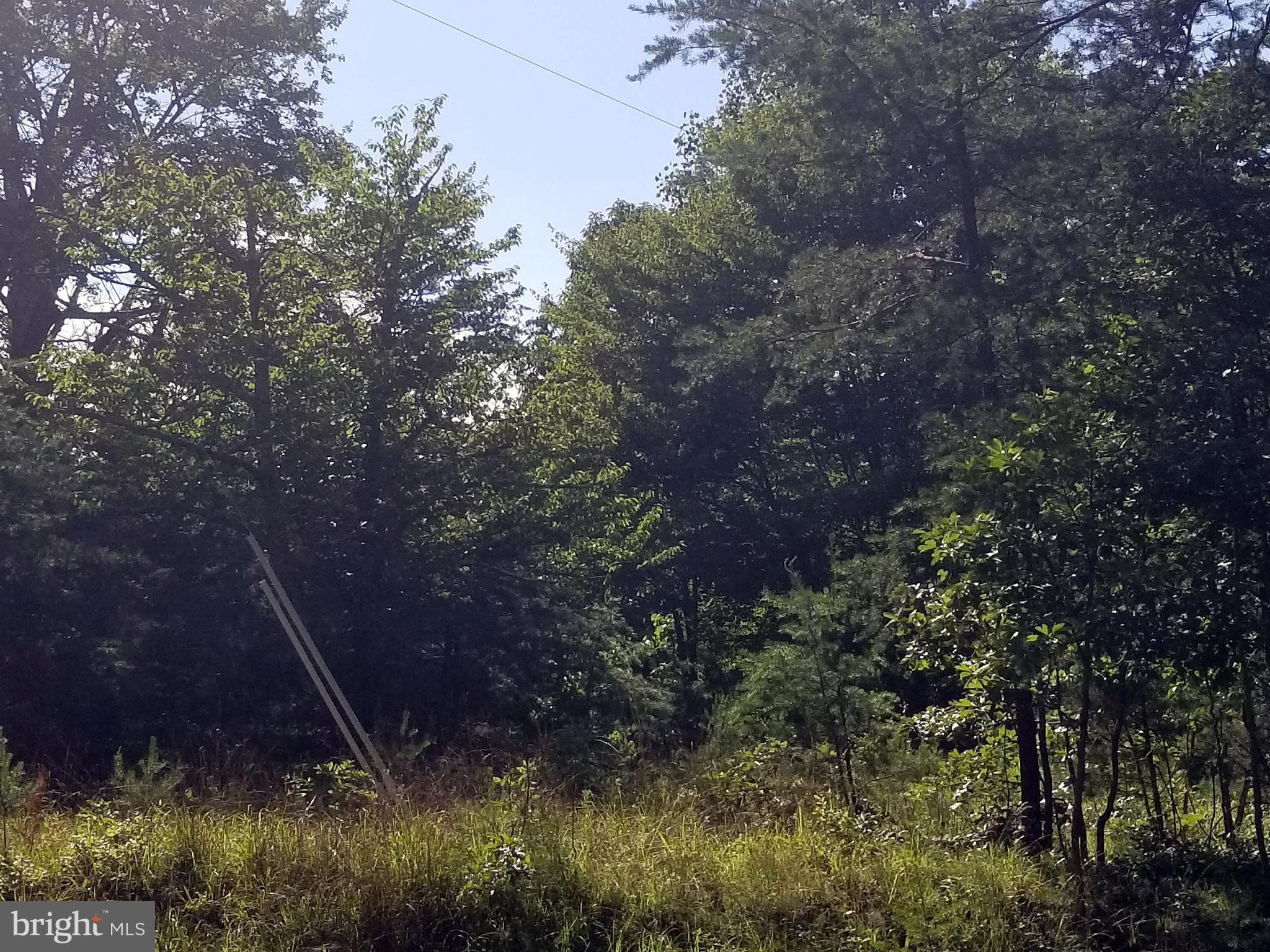 NONE AVAILABLE - Land