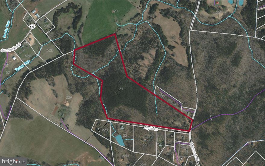 Almost 50 wooded lot with potential to subdivide.  Minimum - 2 acre lots and private road required. Sellers will NOT subdivide to sell. Original house remains (DO NOT ENTER-UNSTABLE)*** Streambed at the rear of the property.  Hardwoods and Pines can be used for timber. Large parcel with a lot of potential!  Status of septic is unknown.  The property does have a well and electricity is on site.