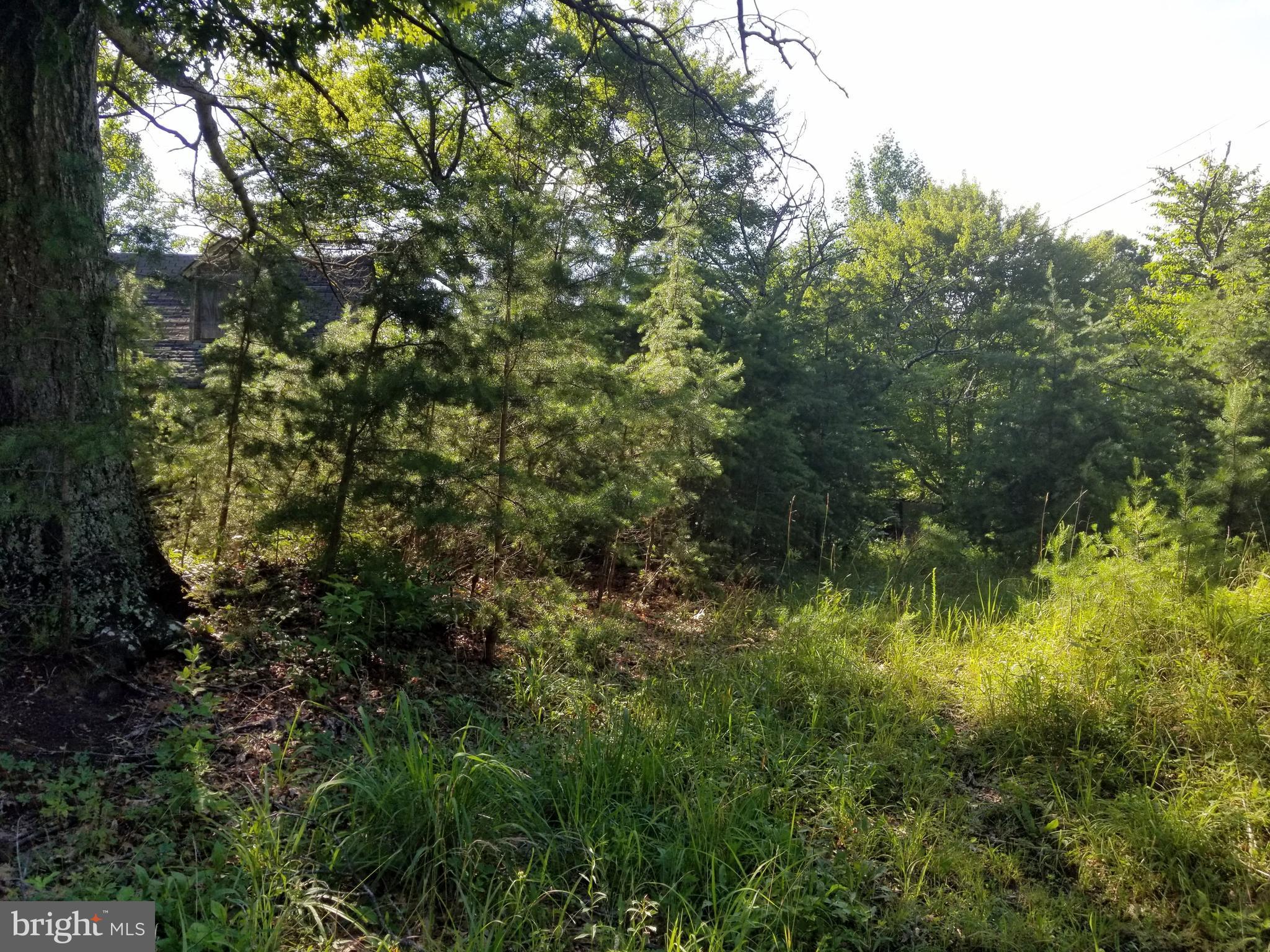 NONE AVAILABLE - Land