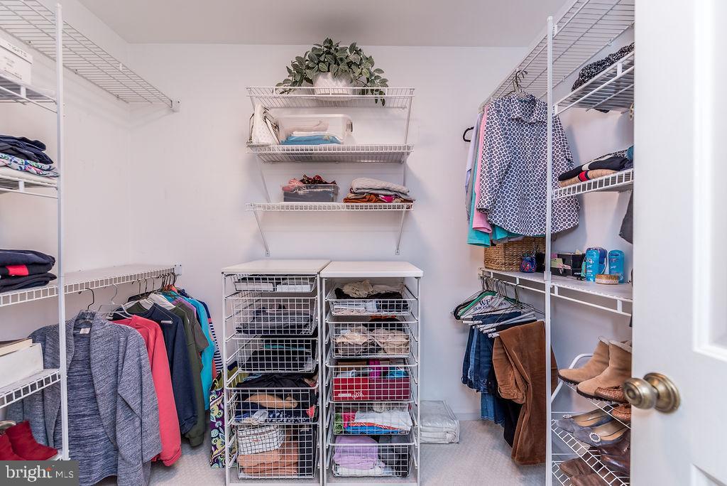 BLUEBERRY HILL - Residential