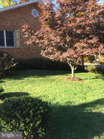 MEMORIAL HEIGHTS - Residential Lease