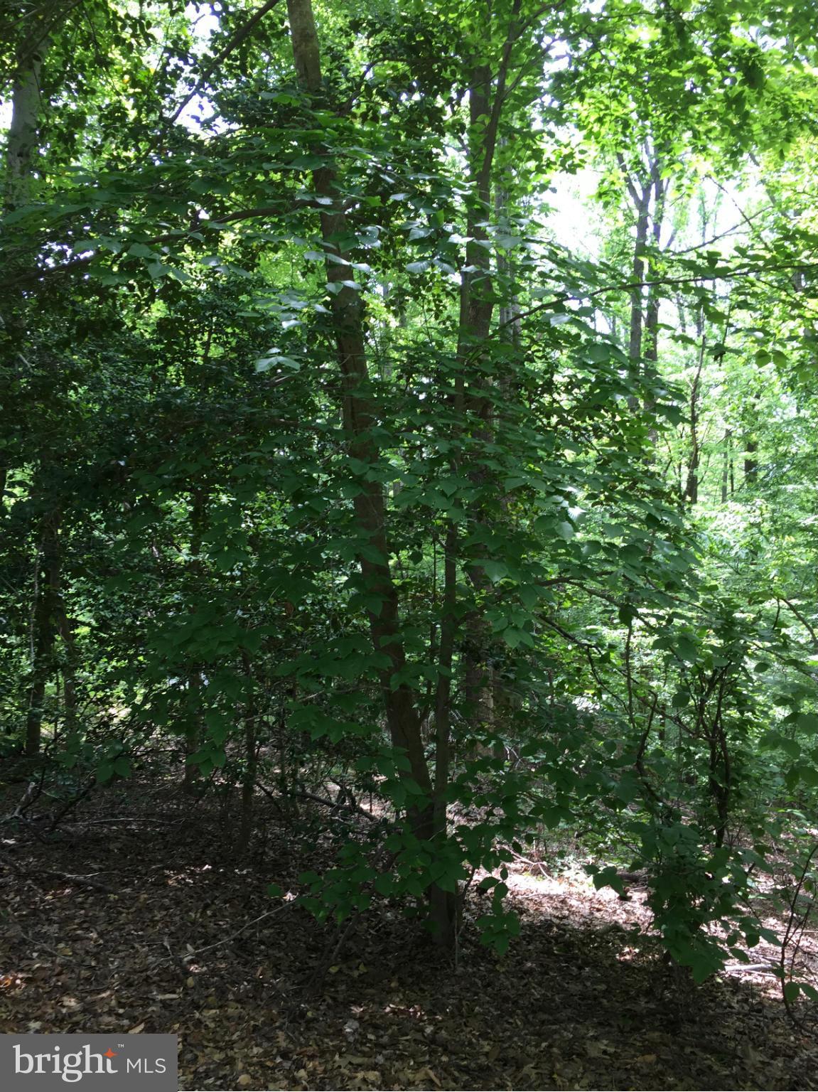 INDEPENDENCE SHORES - Land