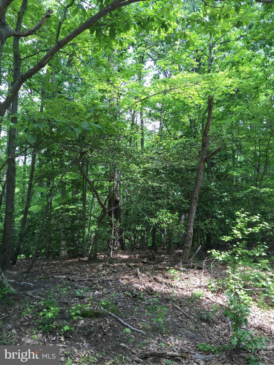 INDEPENDENCE SHORES - Land