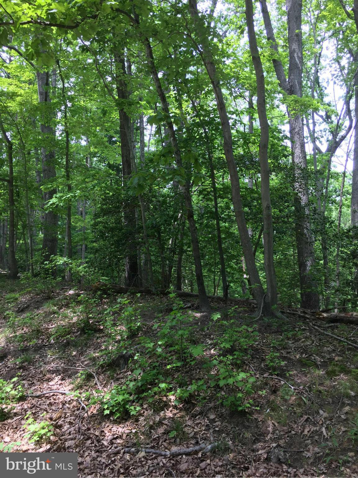 INDEPENDENCE SHORES - Land