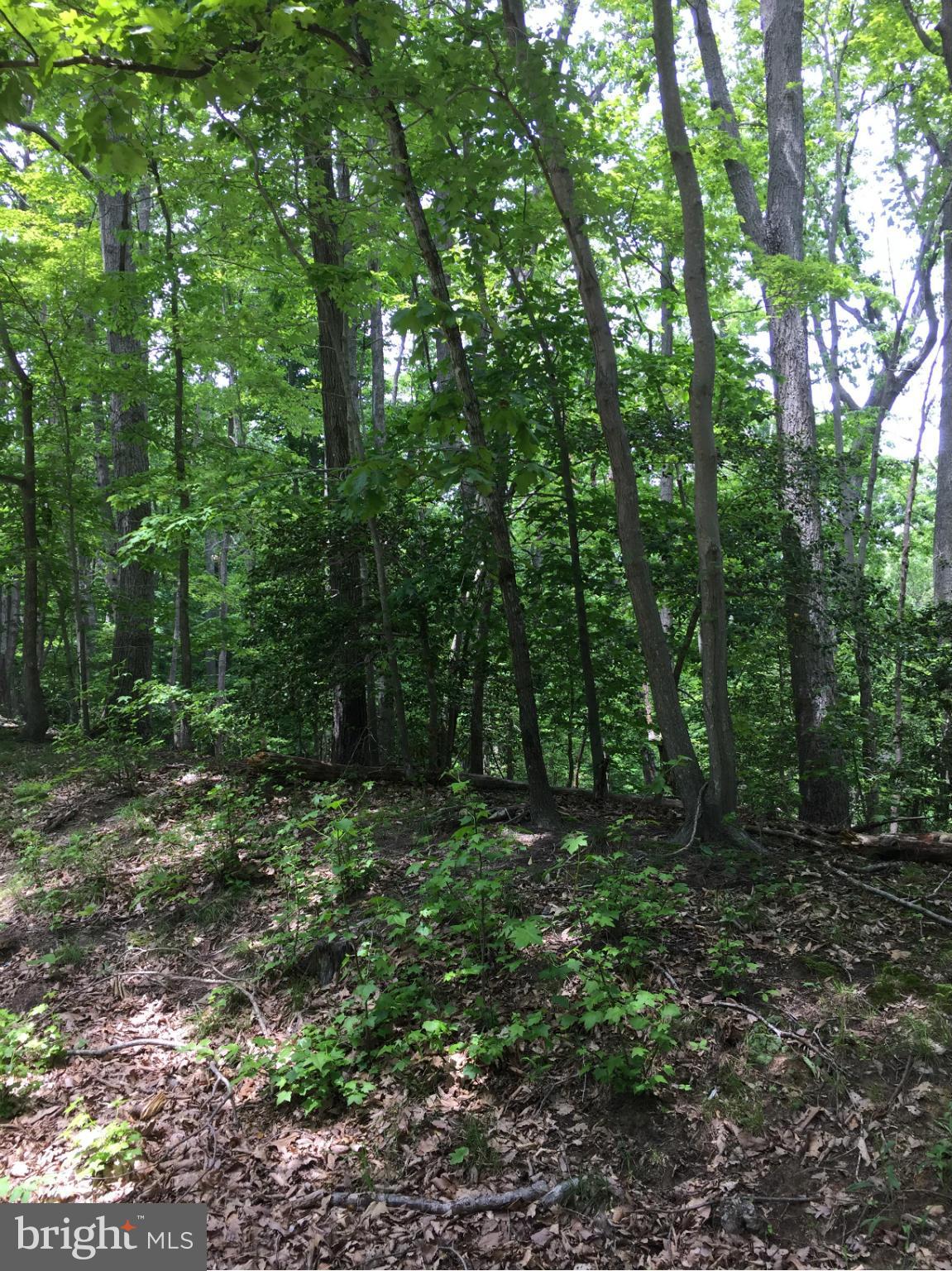 INDEPENDENCE SHORES - Land