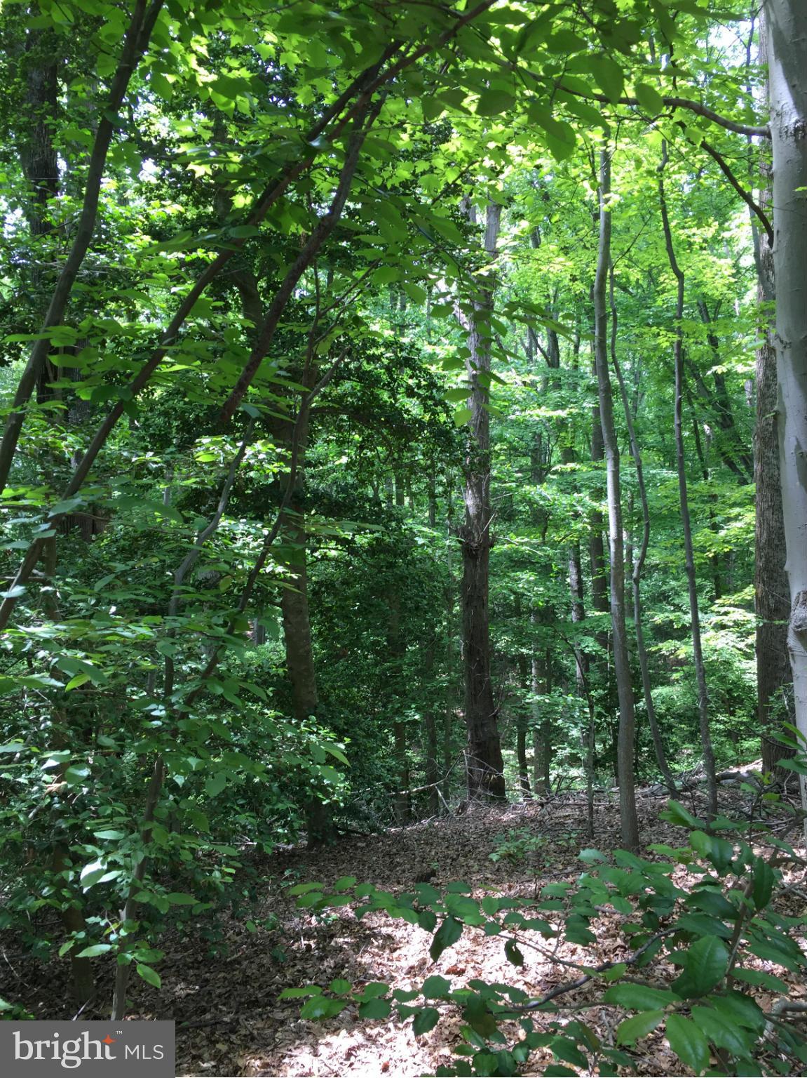 INDEPENDENCE SHORES - Land