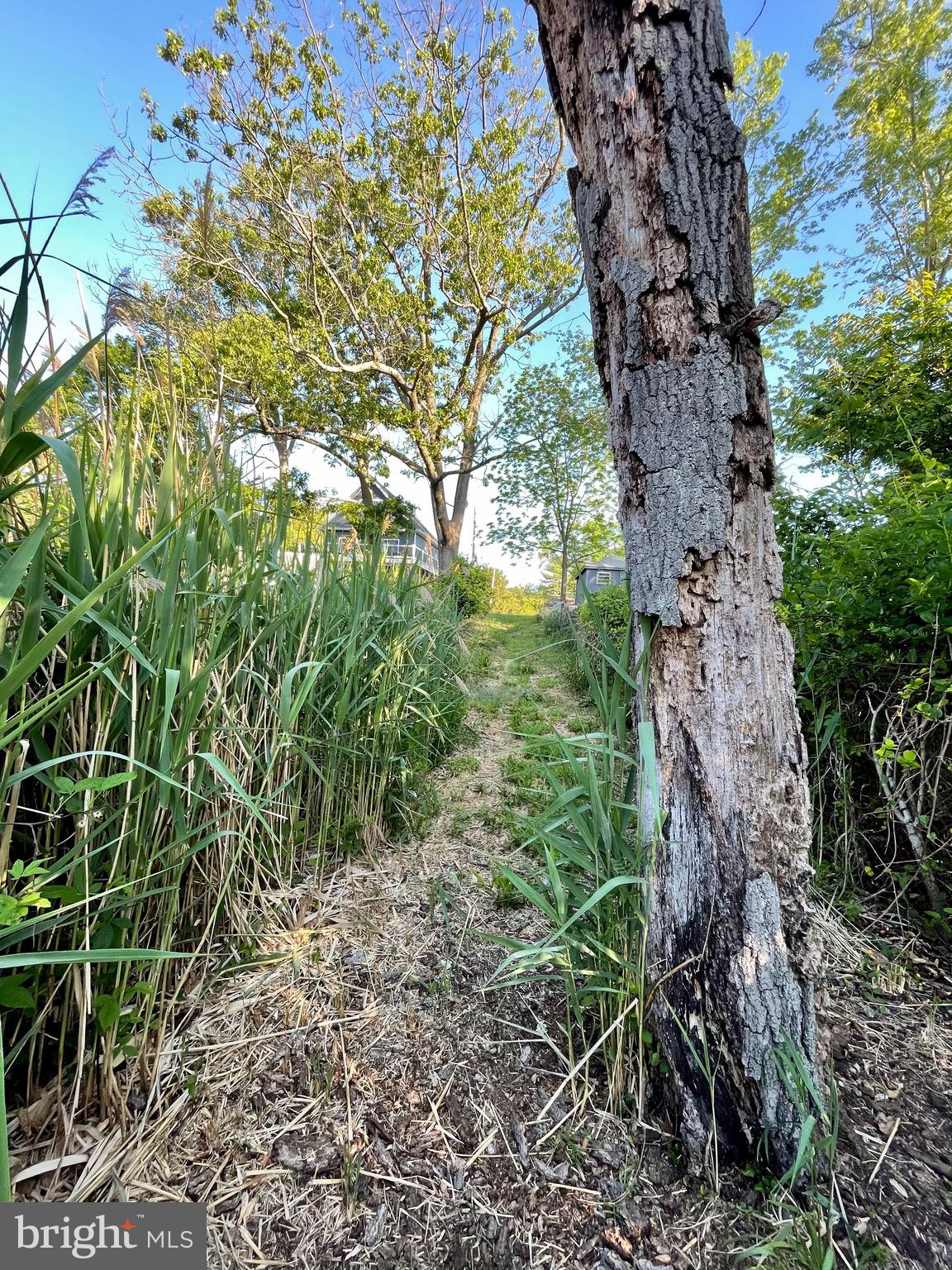 FOREST GLEN - Residential