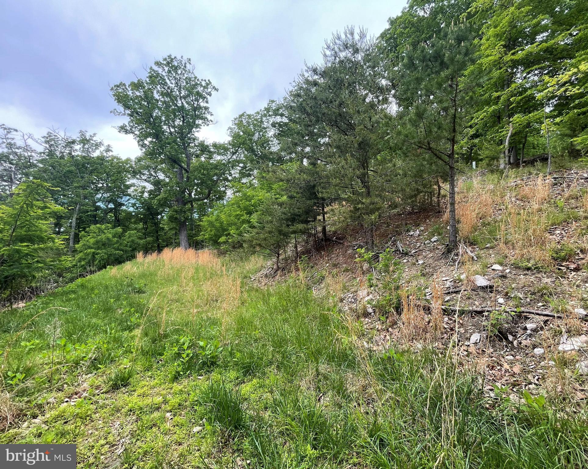 LAKE FOREST ESTATES - Land