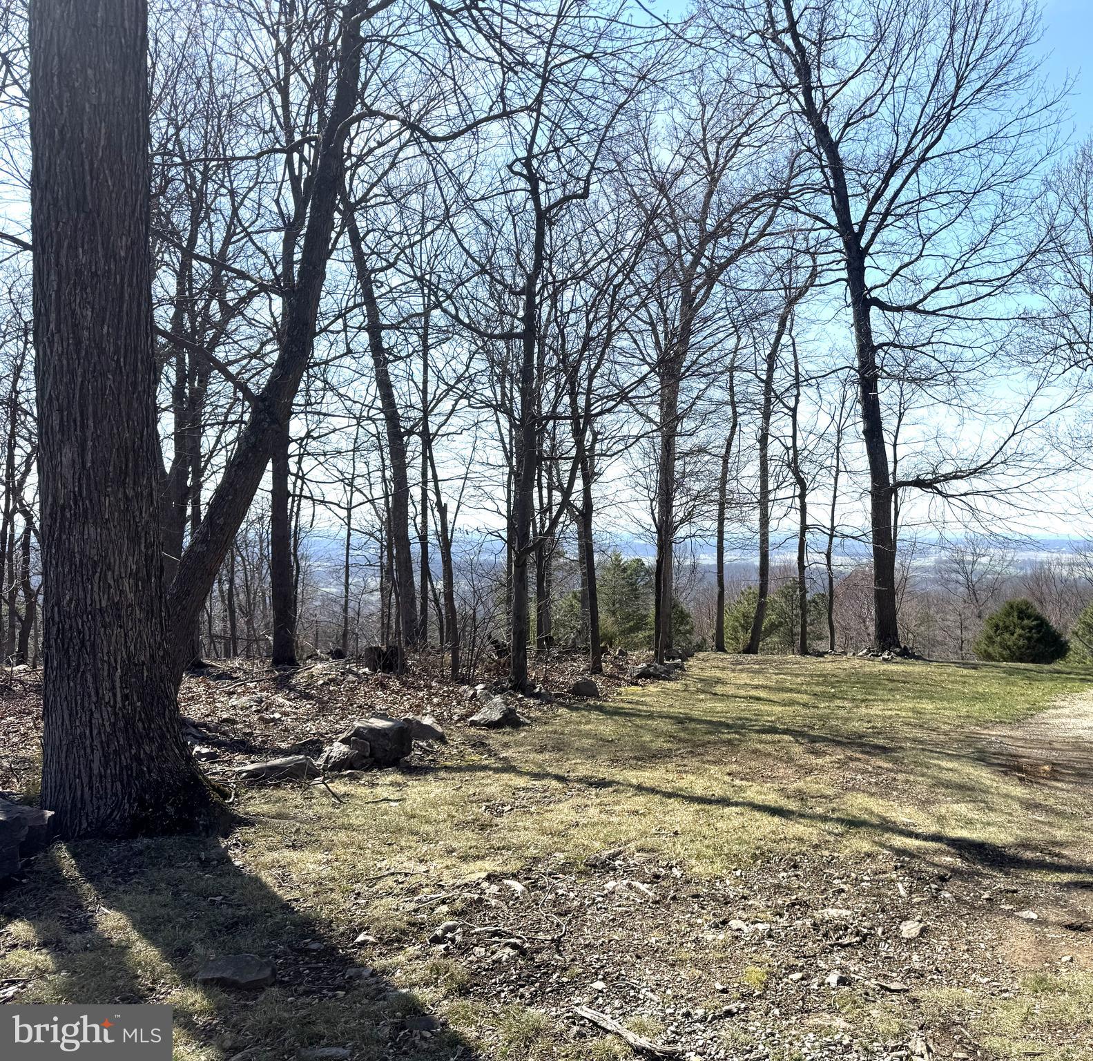 LAKE FOREST ESTATES - Land
