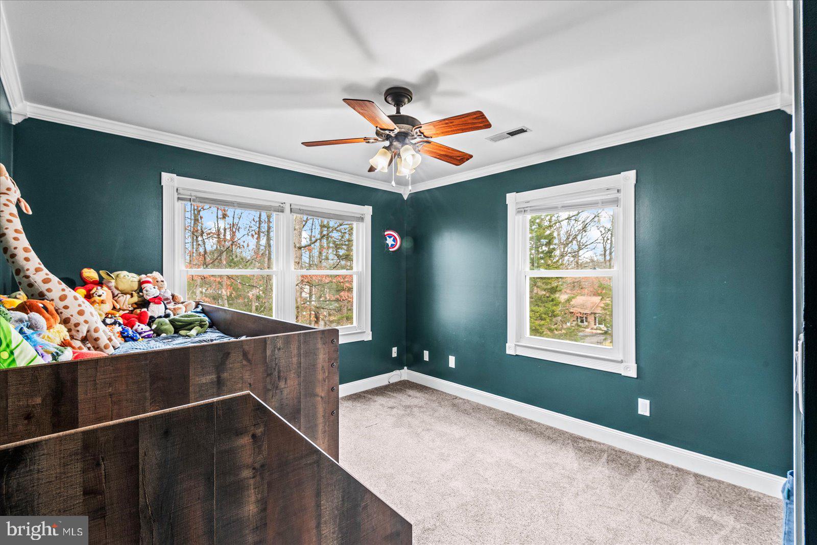 LAKE OF THE WOODS - Residential