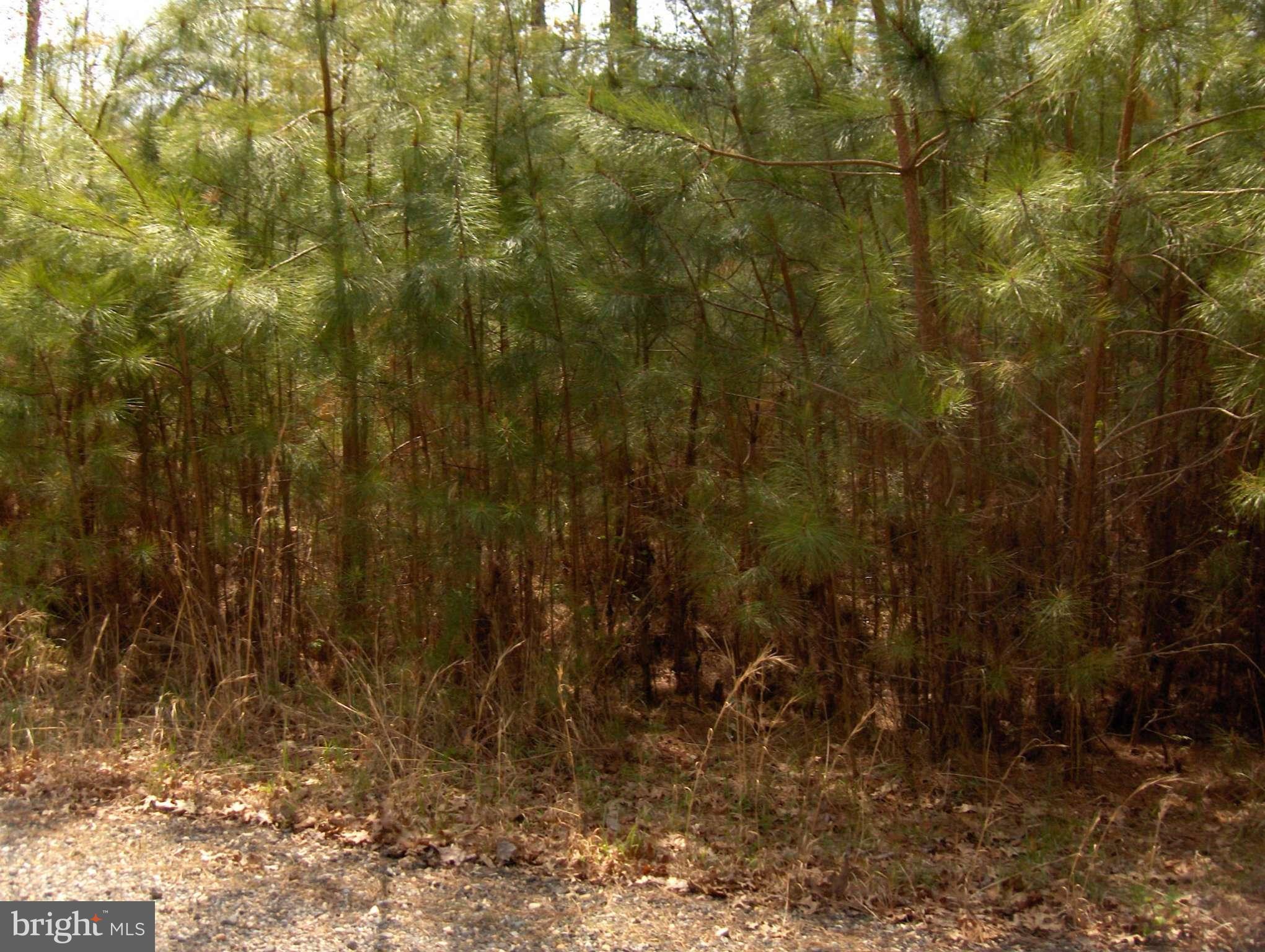 ST JAMES SUBD - Land