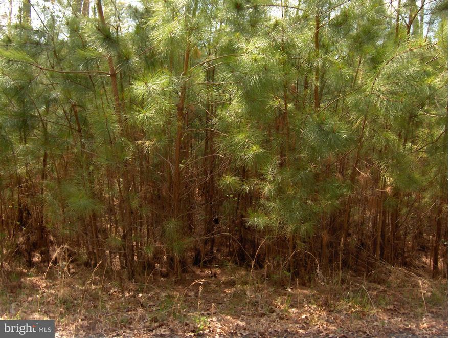 Beautiful Subdivision "St James" away from the hustle and bustle of the mid county cluster and yet convenient enough to be there within minutes.  This is a beautiful 3.98 acre lot to build you dream home.  Enjoy the community amenities including the swimming pool.  Check this lot out.