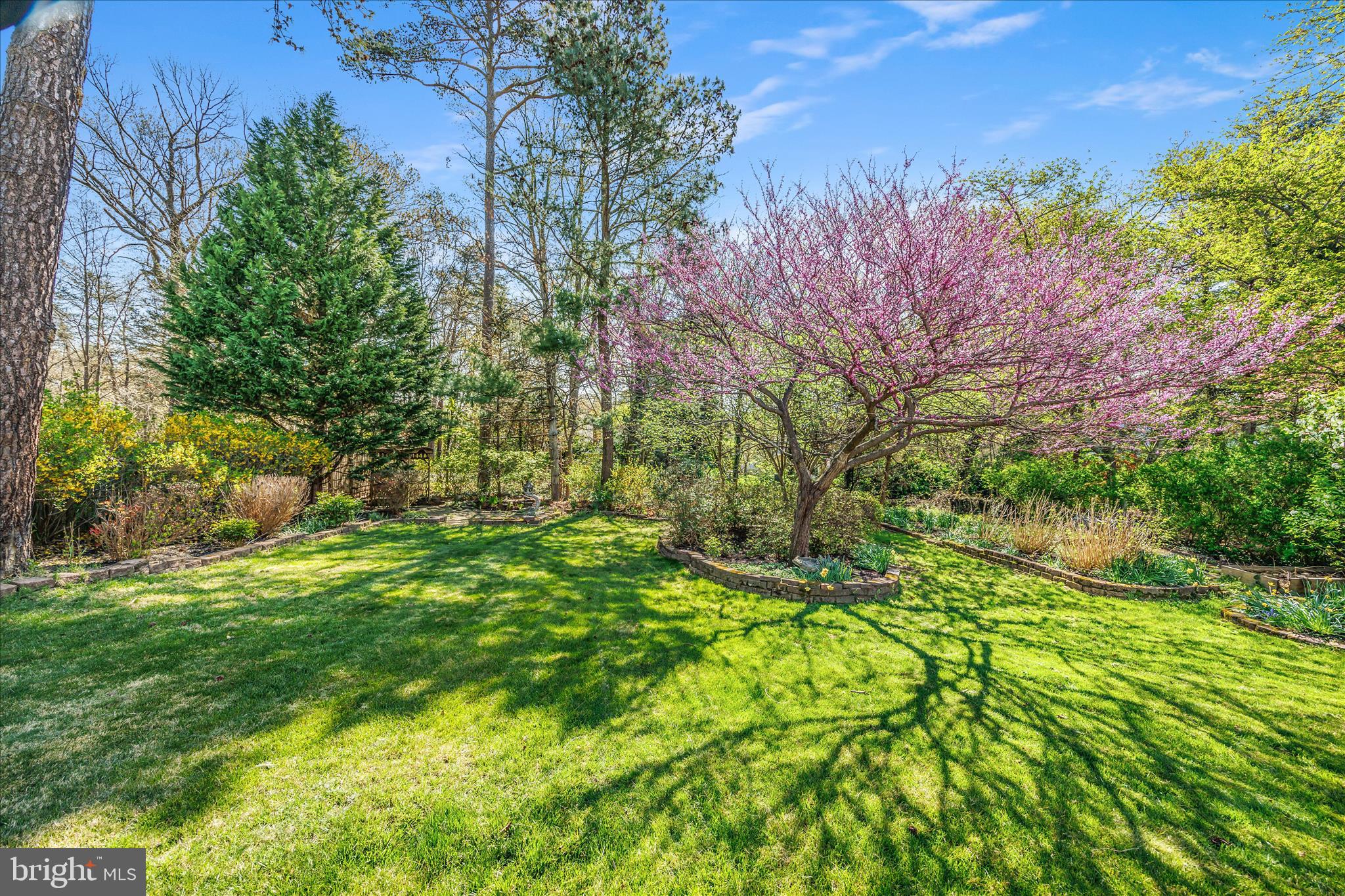 SHIPLEYS CHOICE - Residential