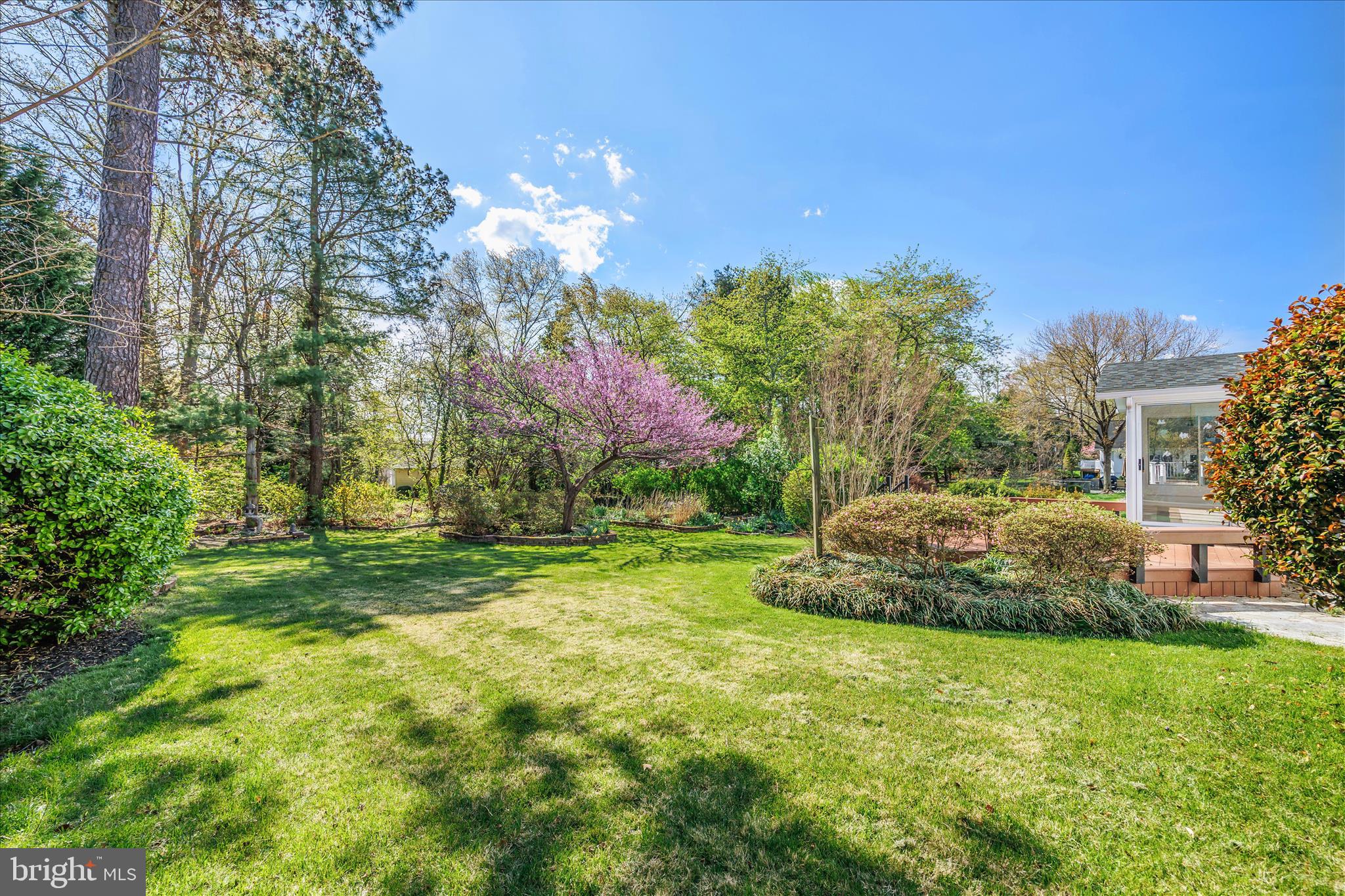 SHIPLEYS CHOICE - Residential