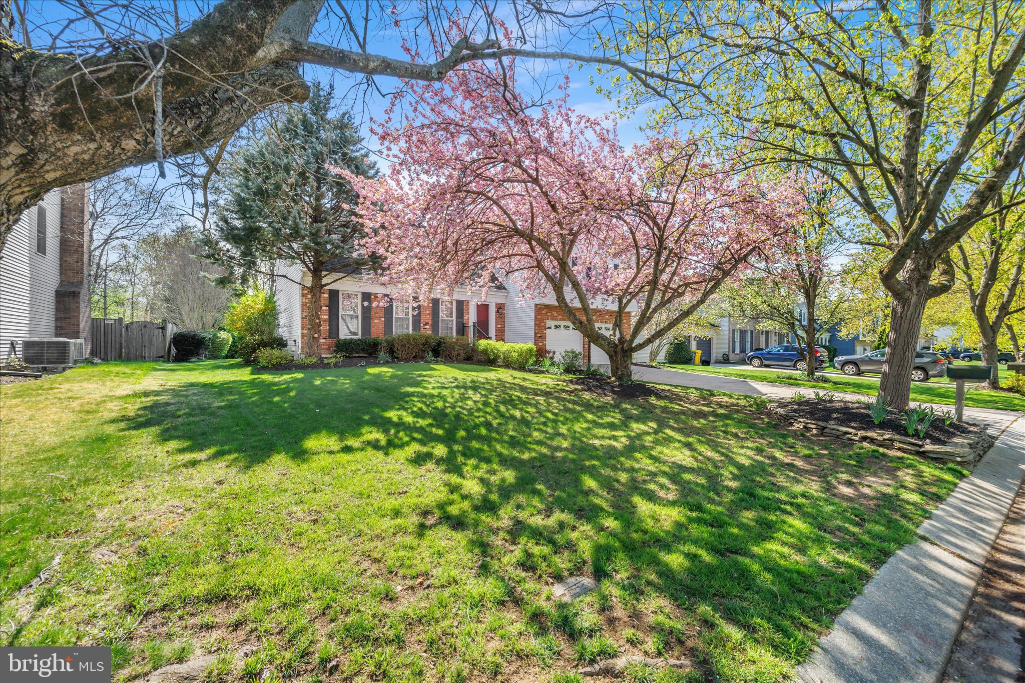 SHIPLEYS CHOICE - Residential