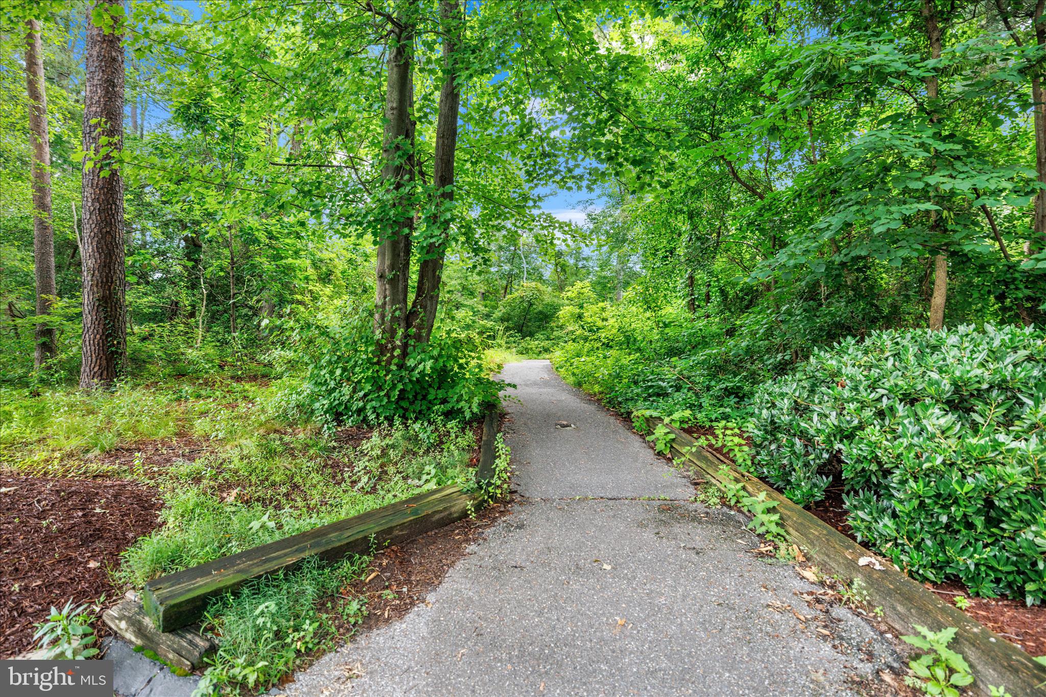 SHIPLEYS CHOICE - Residential