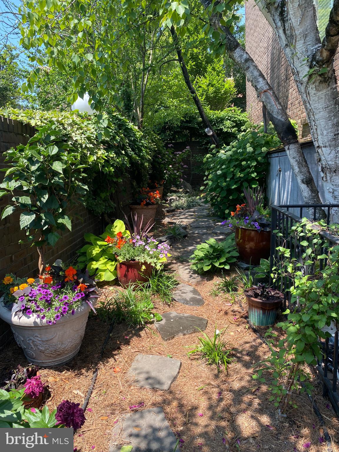 SOCIETY HILL - Residential