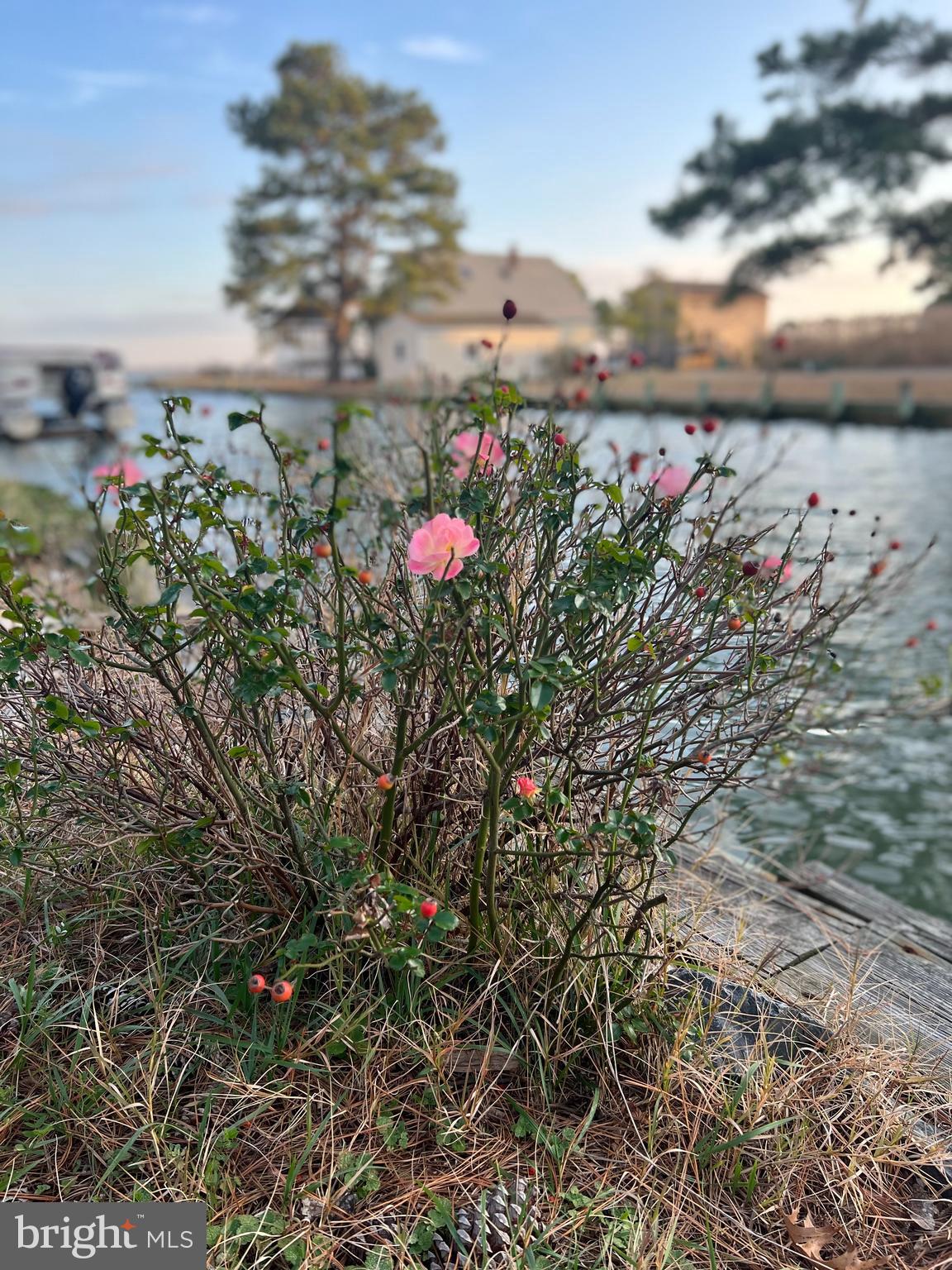 CHINCOTEAGUE - Residential