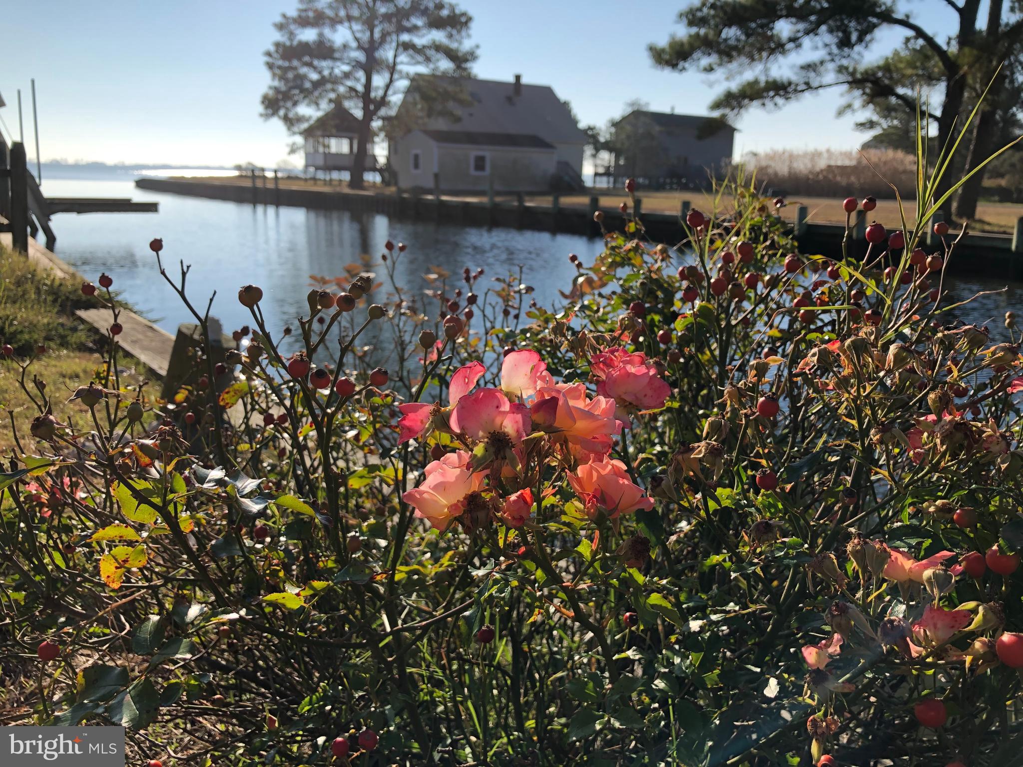 CHINCOTEAGUE - Residential
