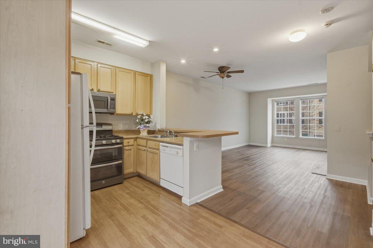 PARKSIDE AT DULLES - Residential