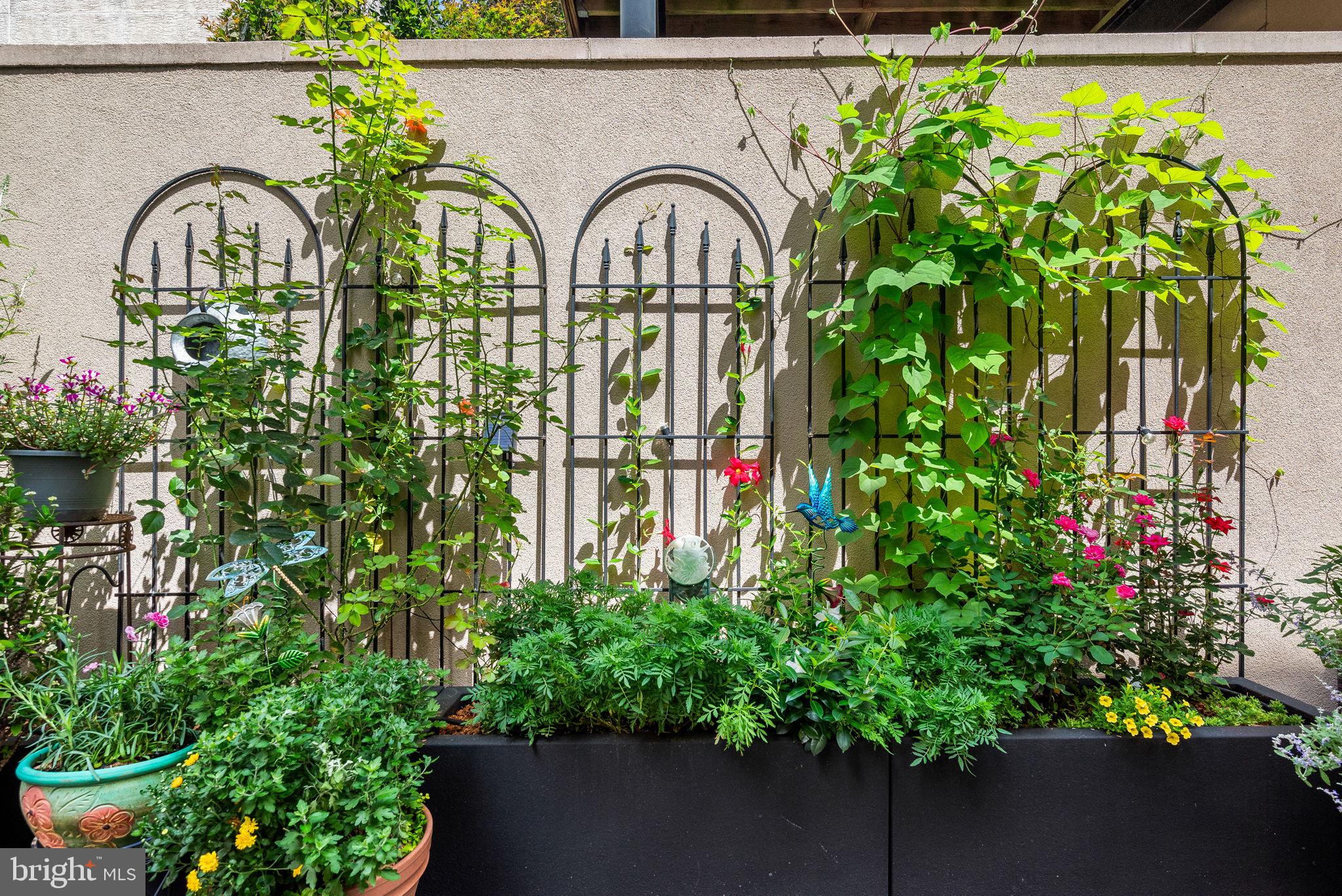 ART MUSEUM AREA - Residential