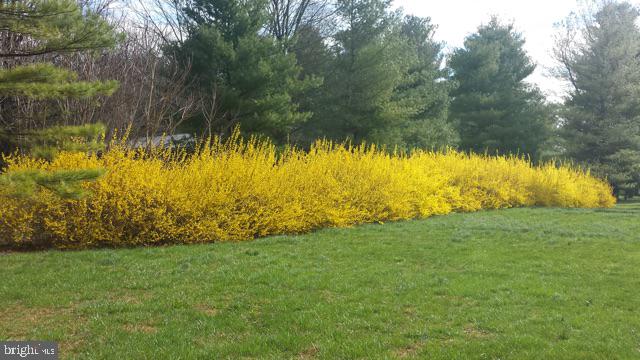 HONEYWOOD ON THE POTOMAC - Residential