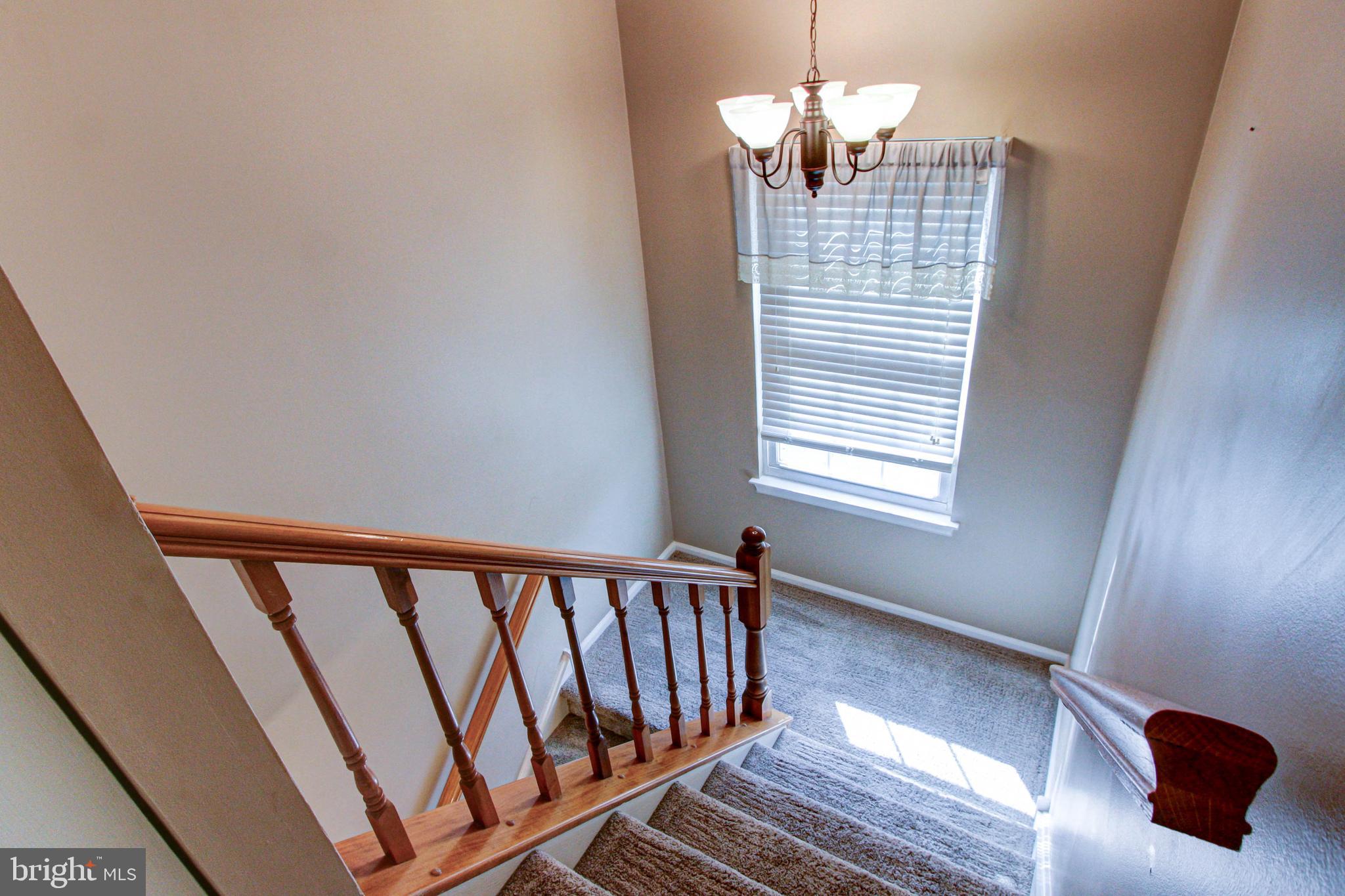 FOREST PARK - Residential