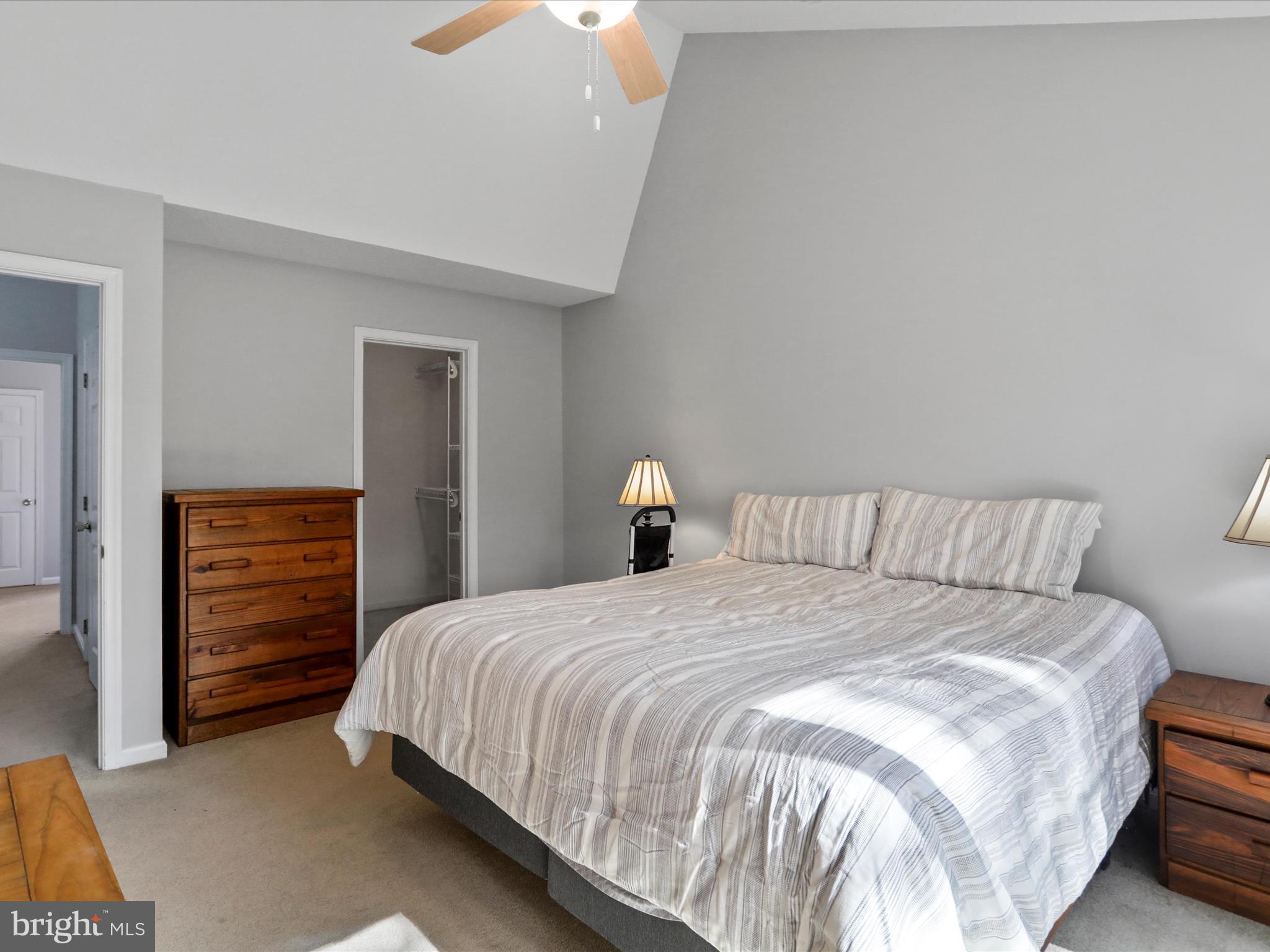 THE WOODS - Residential